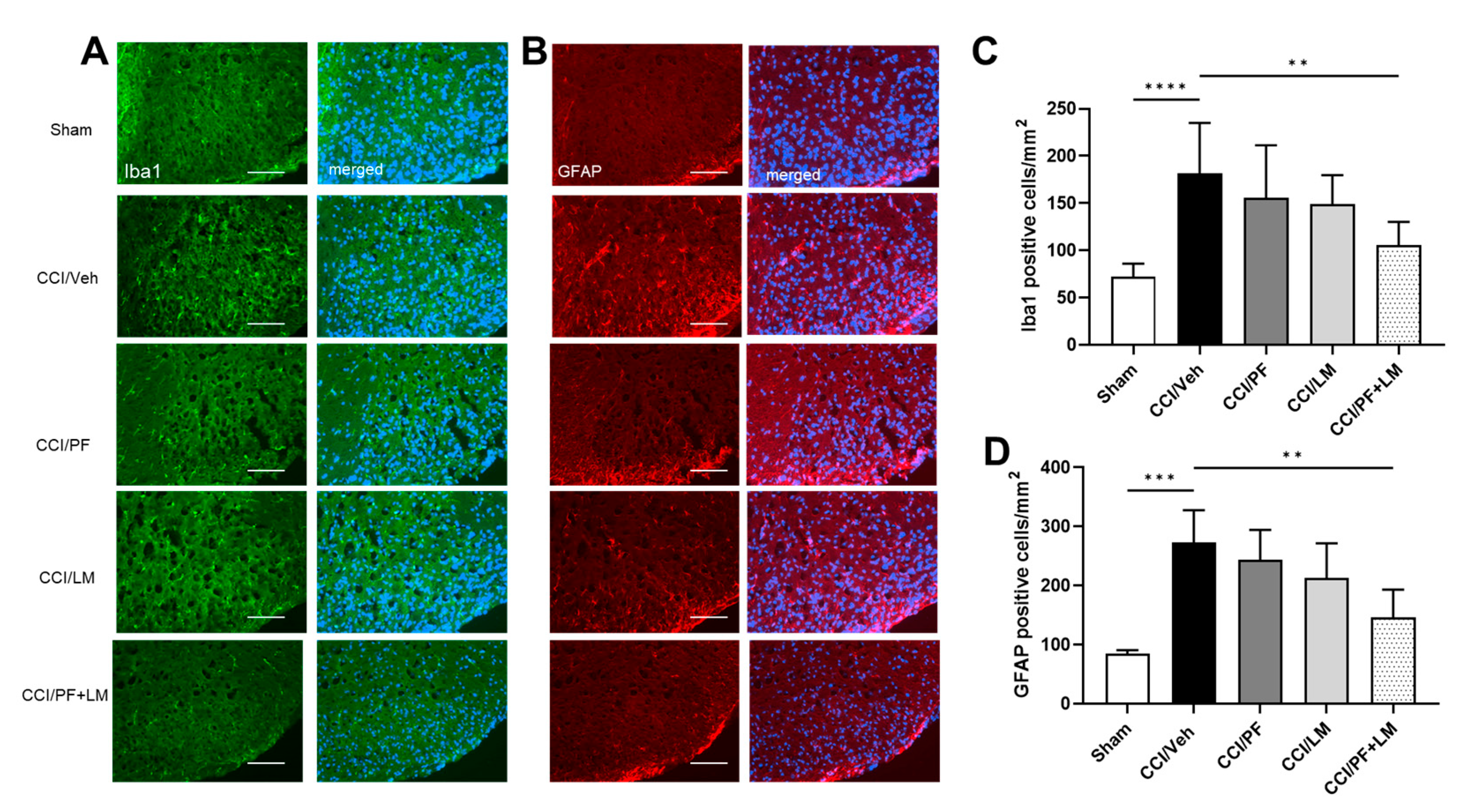 Cells 12 01275 g005 Cells 12 01275 g005