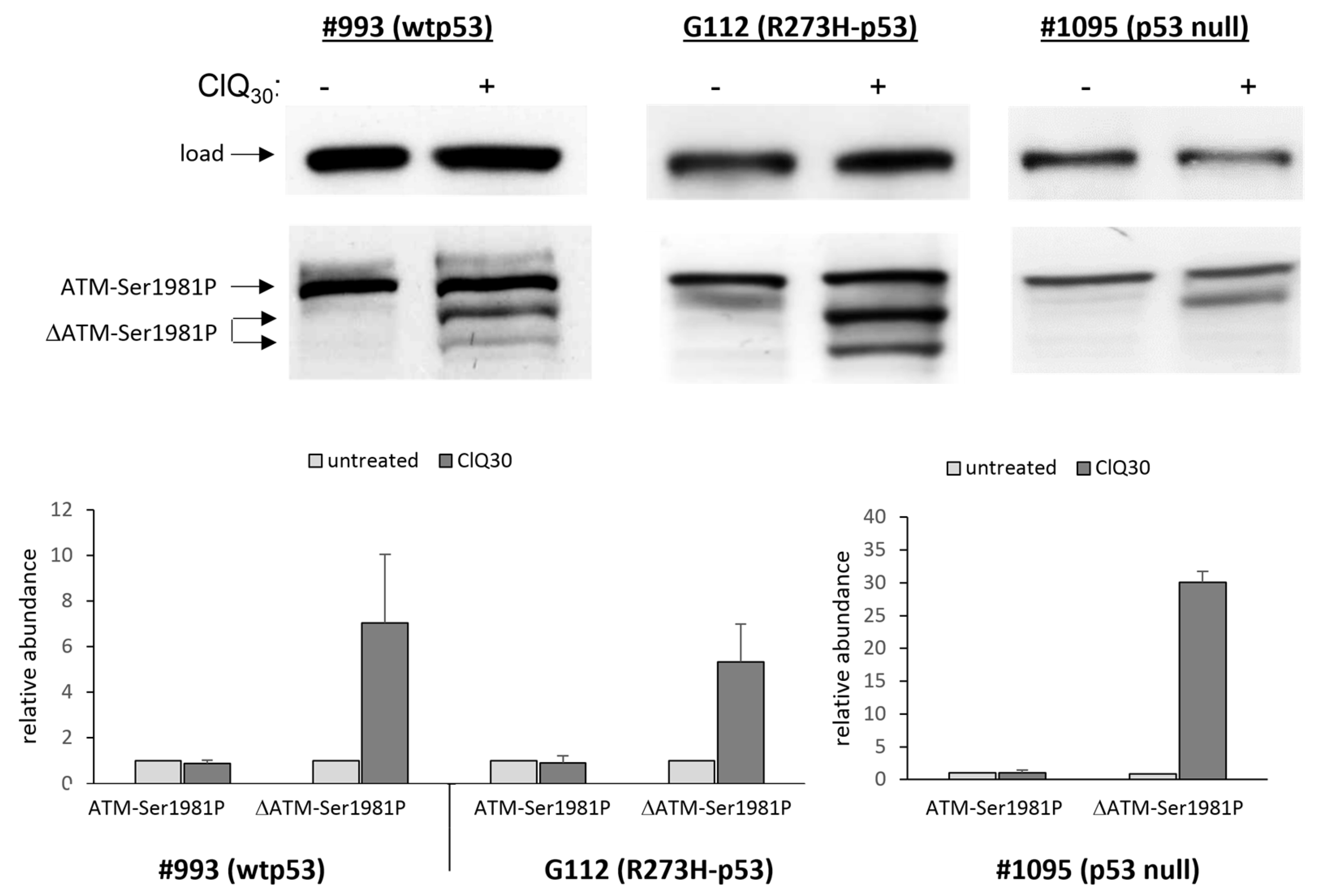 Cells 12 01290 g006 Cells 12 01290 g006
