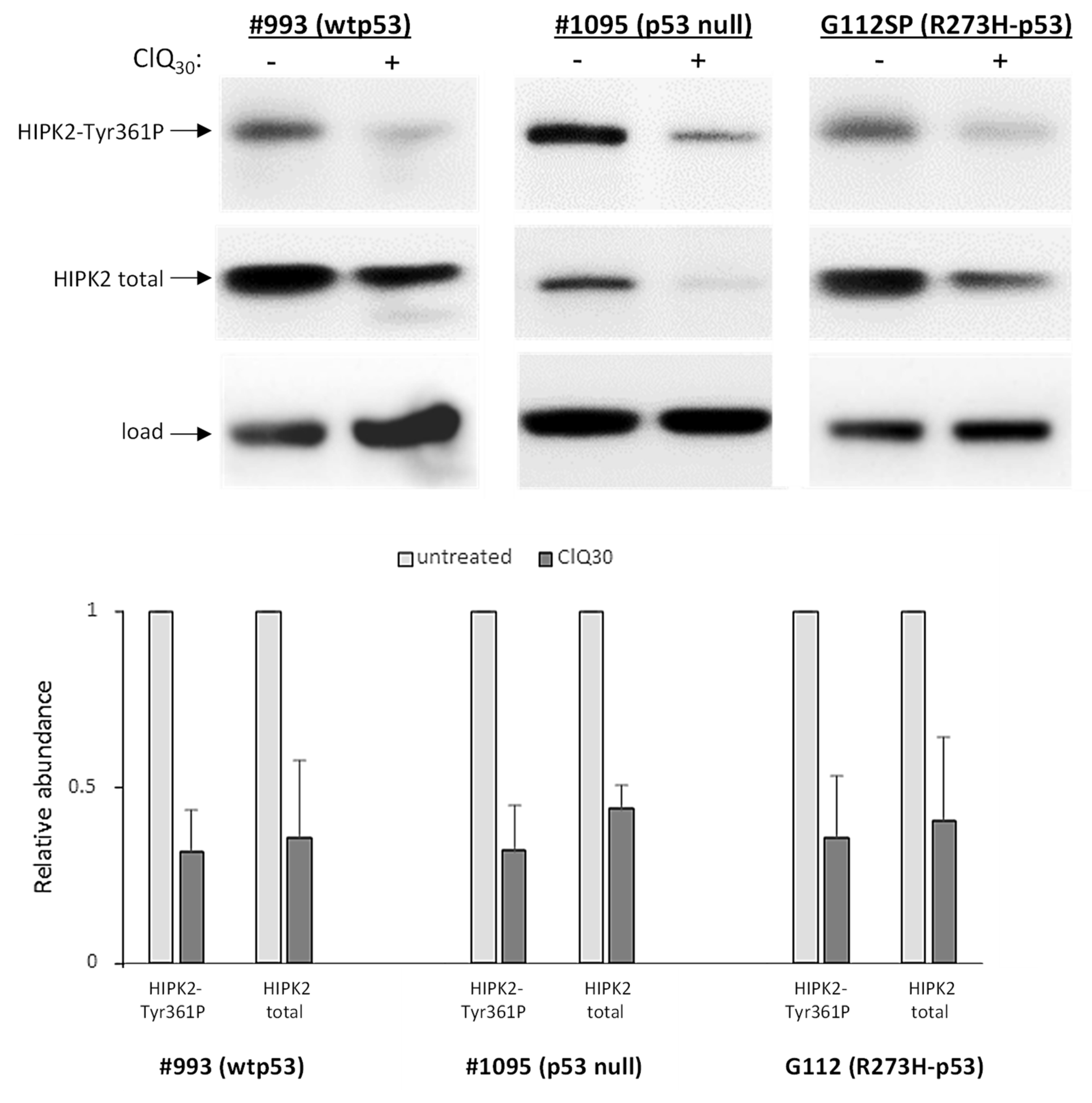 Cells 12 01290 g007 Cells 12 01290 g007