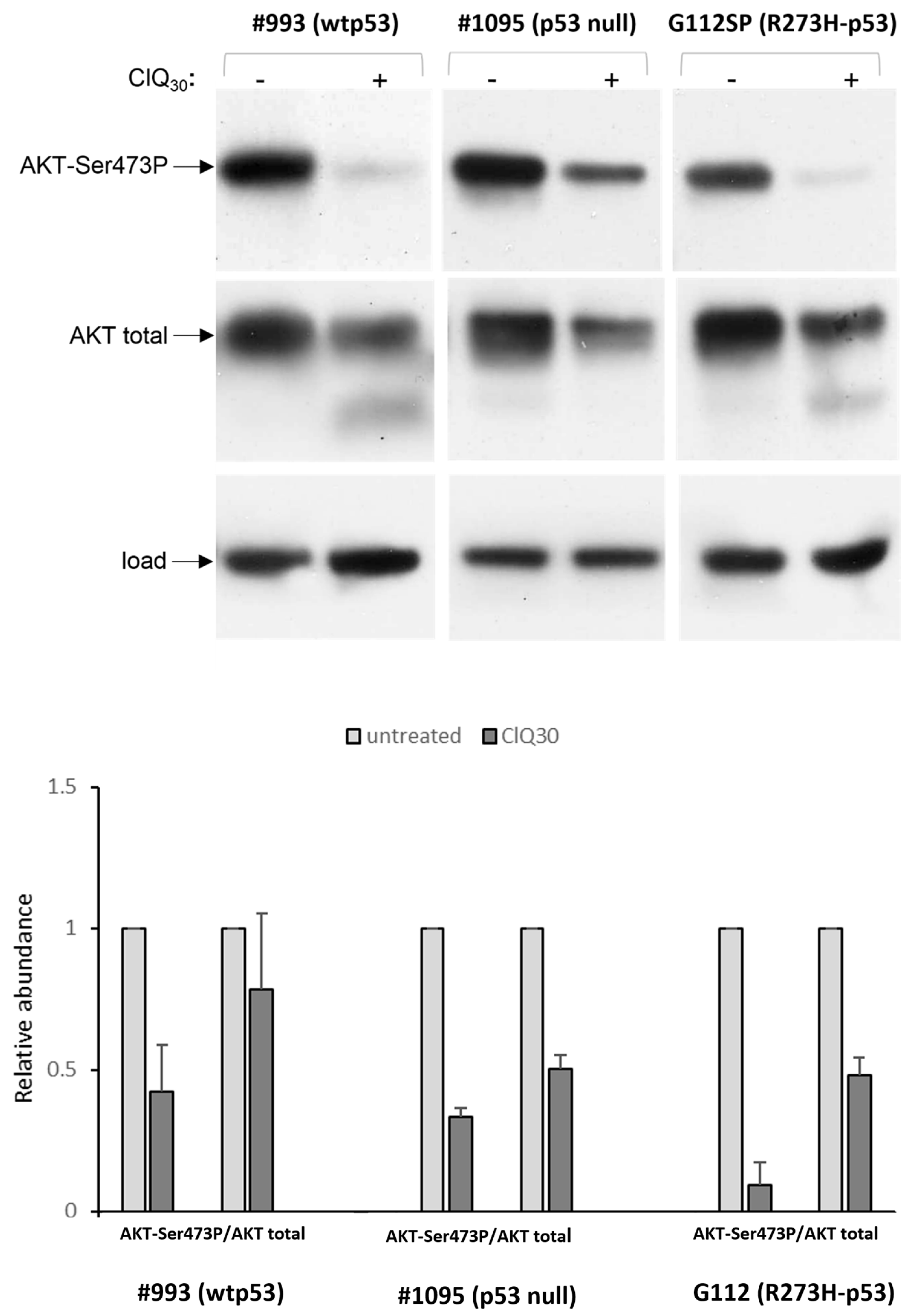 Cells 12 01290 g010 Cells 12 01290 g010