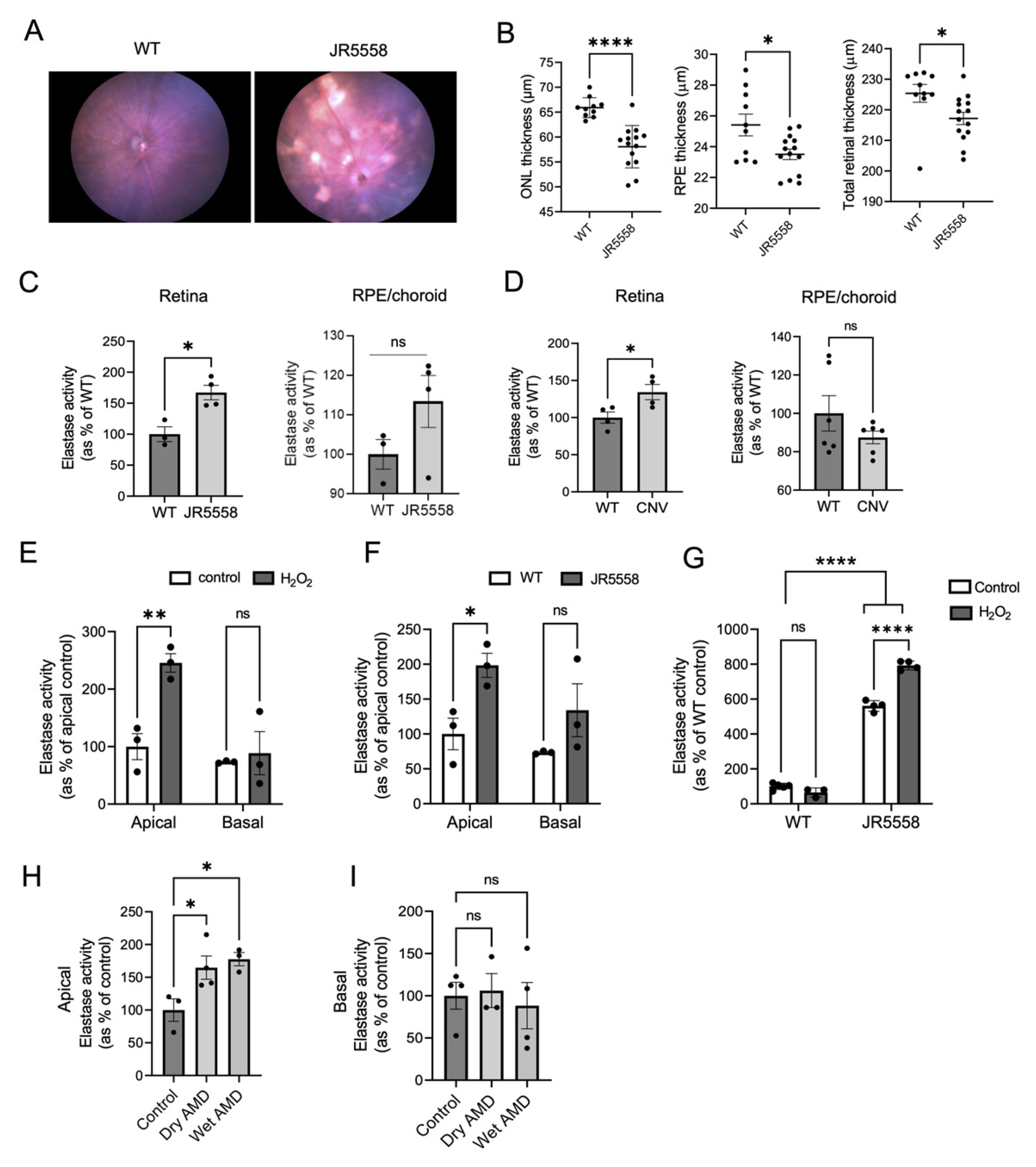 Cells | Free Full-Text | Exploring the Therapeutic Potential of