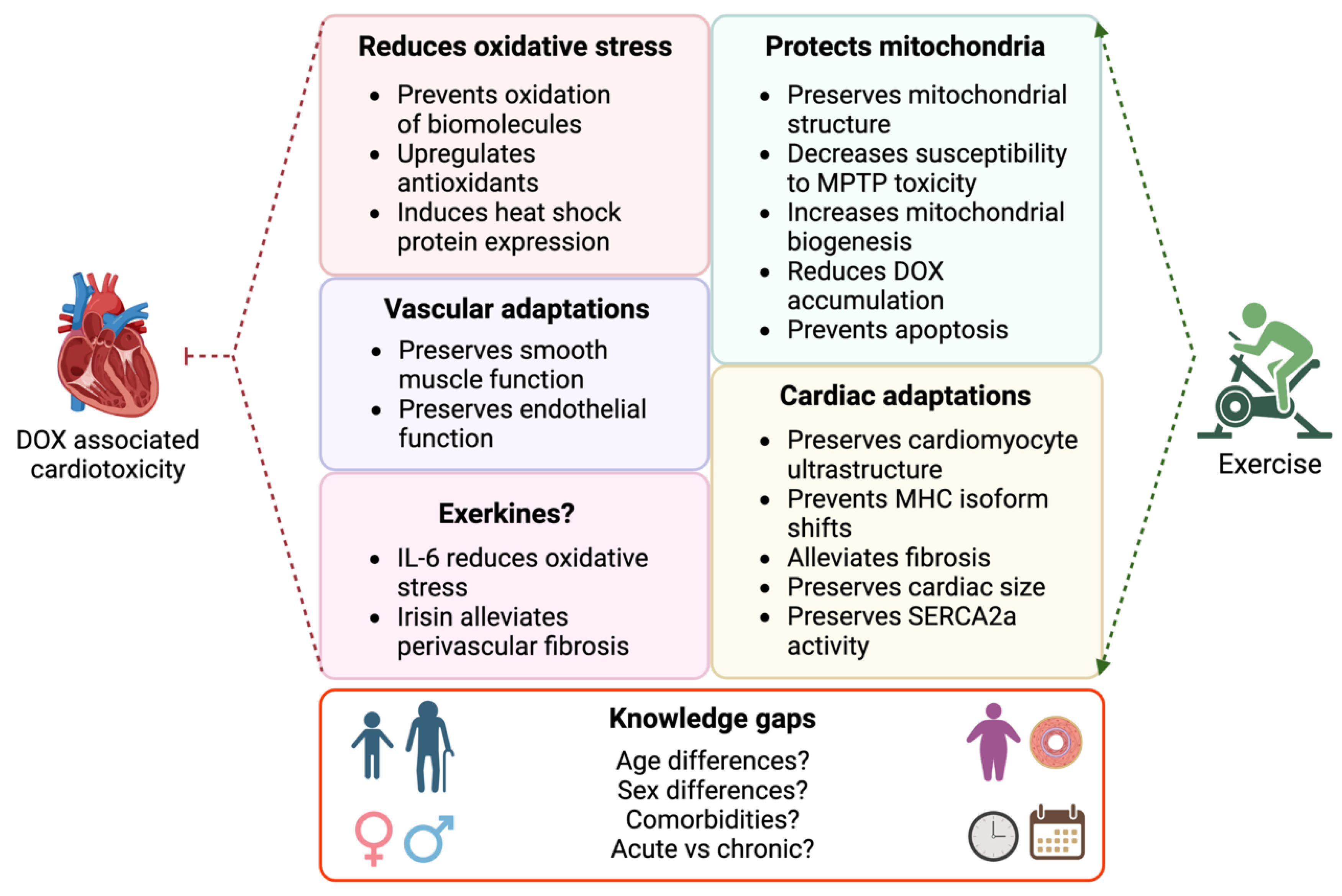 Cells 12 01312 g003 Cells 12 01312 g003