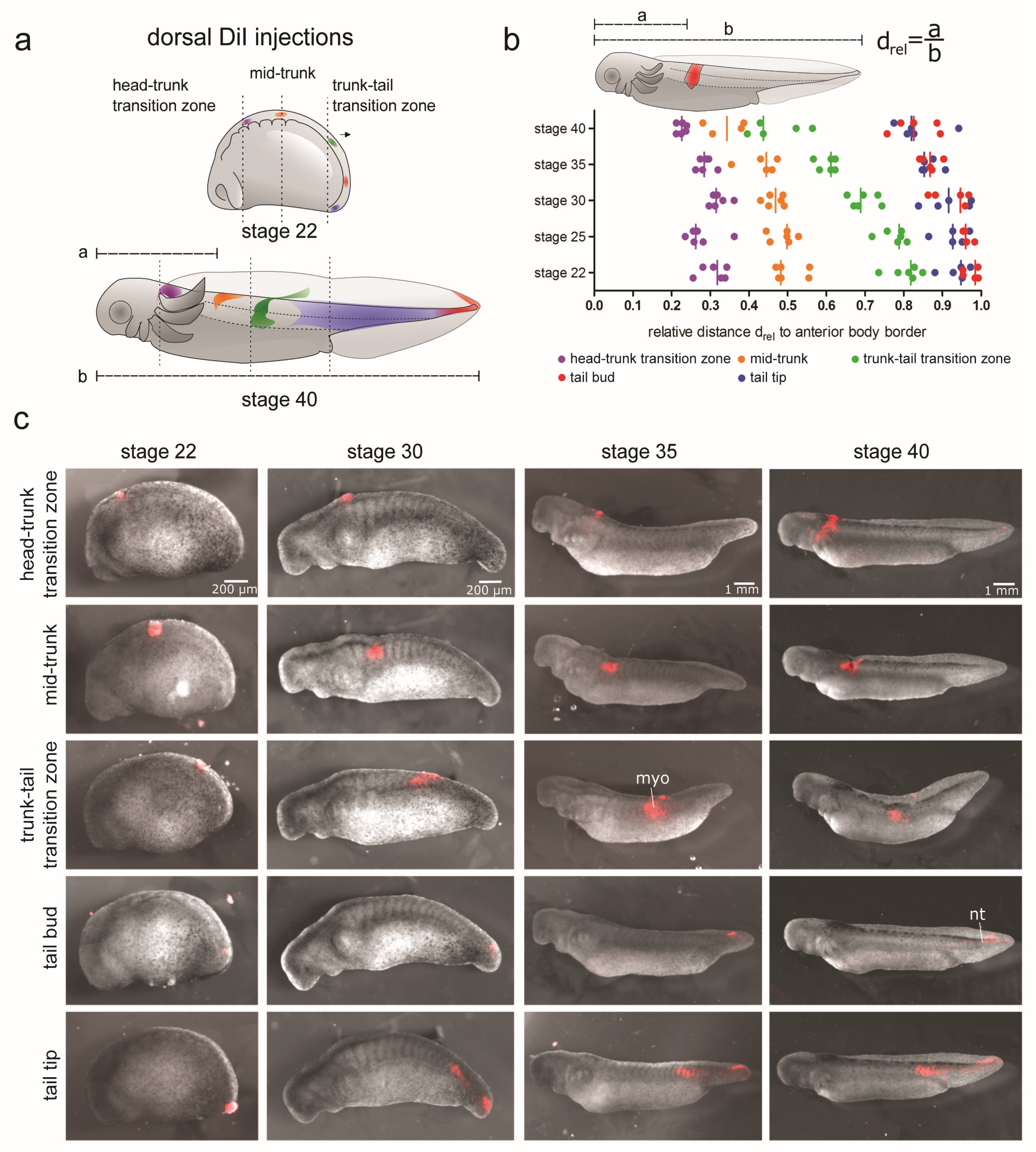 Cells 12 01313 g002 Cells 12 01313 g002