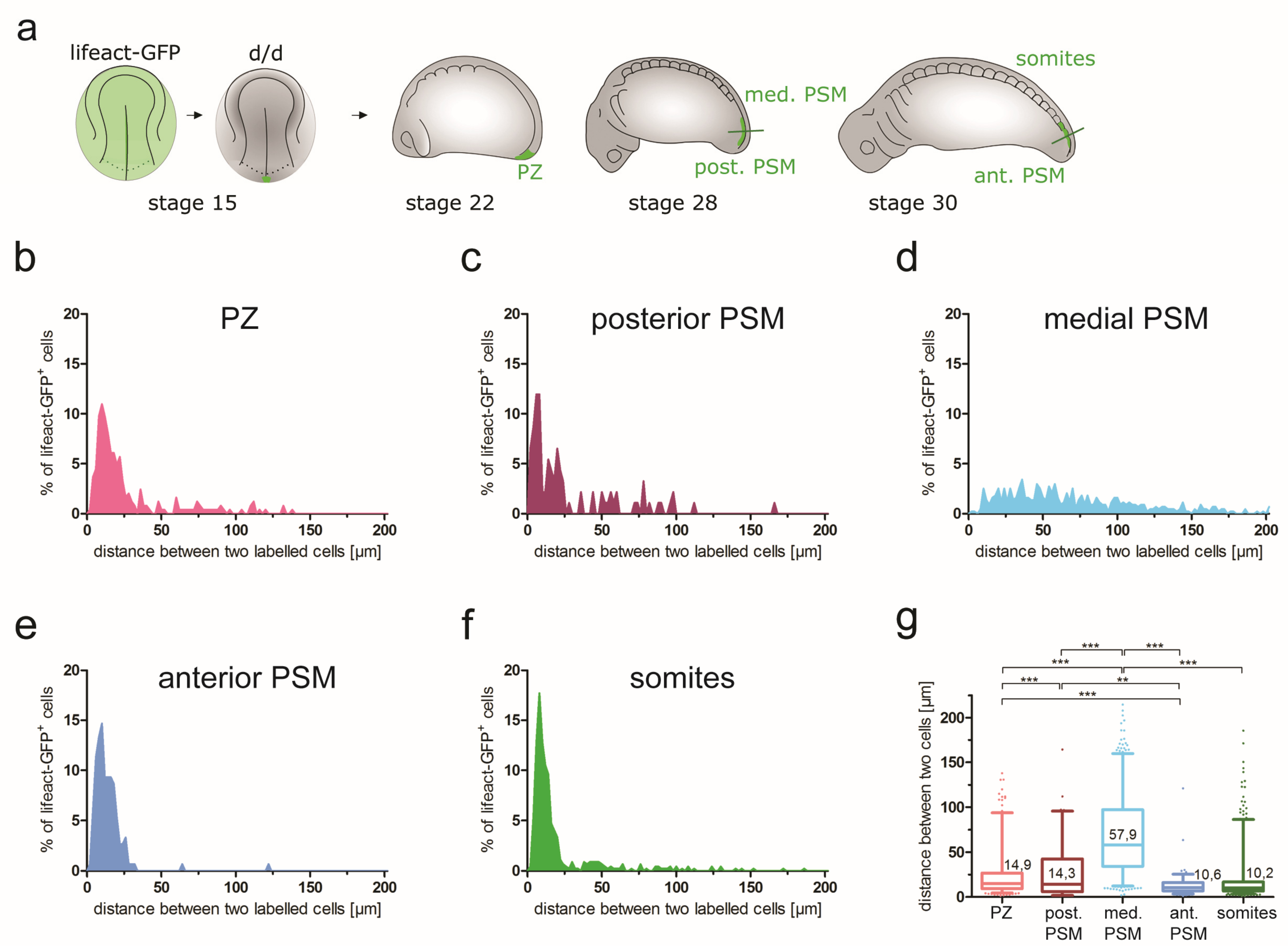 Cells 12 01313 g007 Cells 12 01313 g007