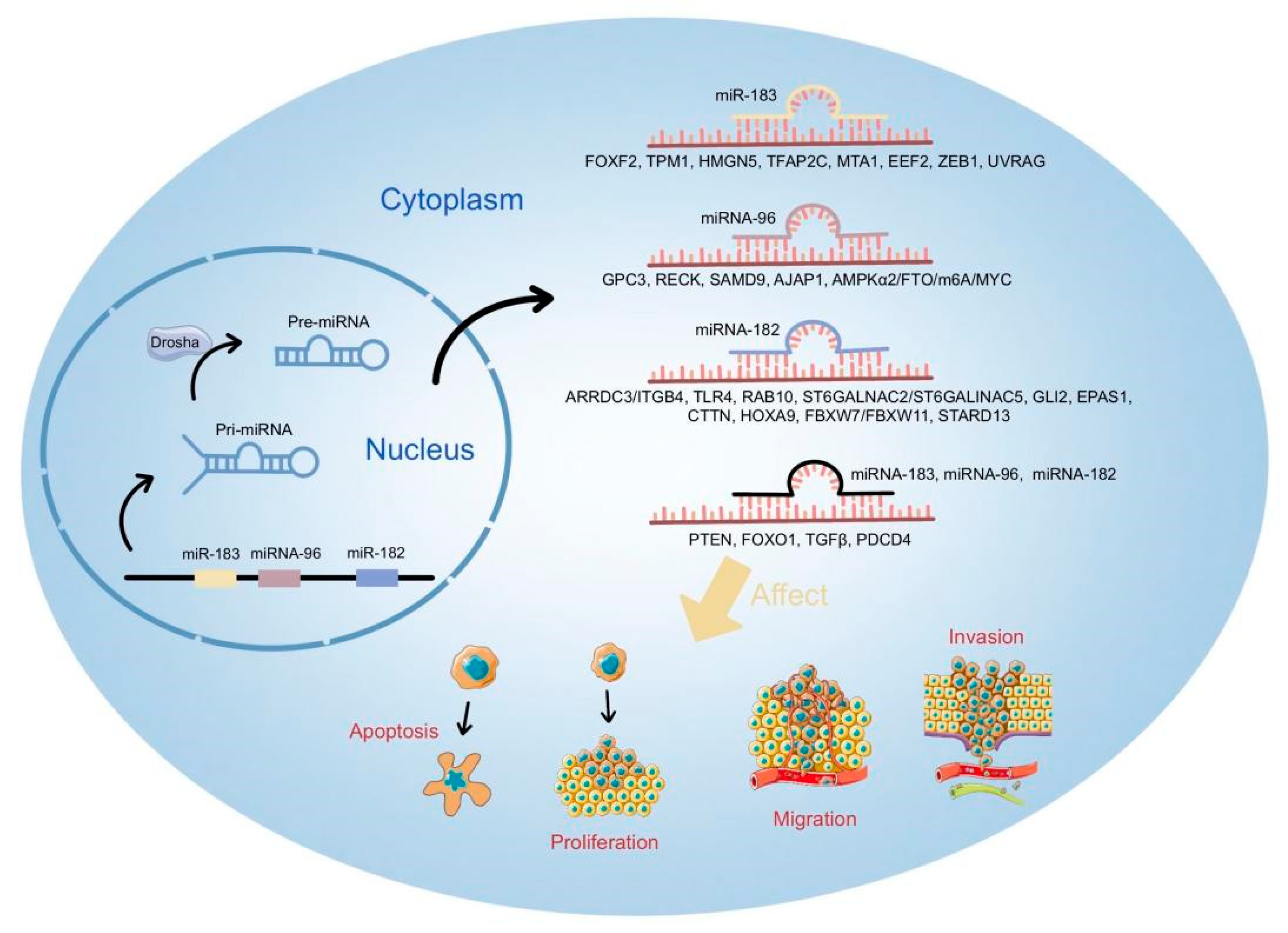 Cells 12 01315 g003 Cells 12 01315 g003