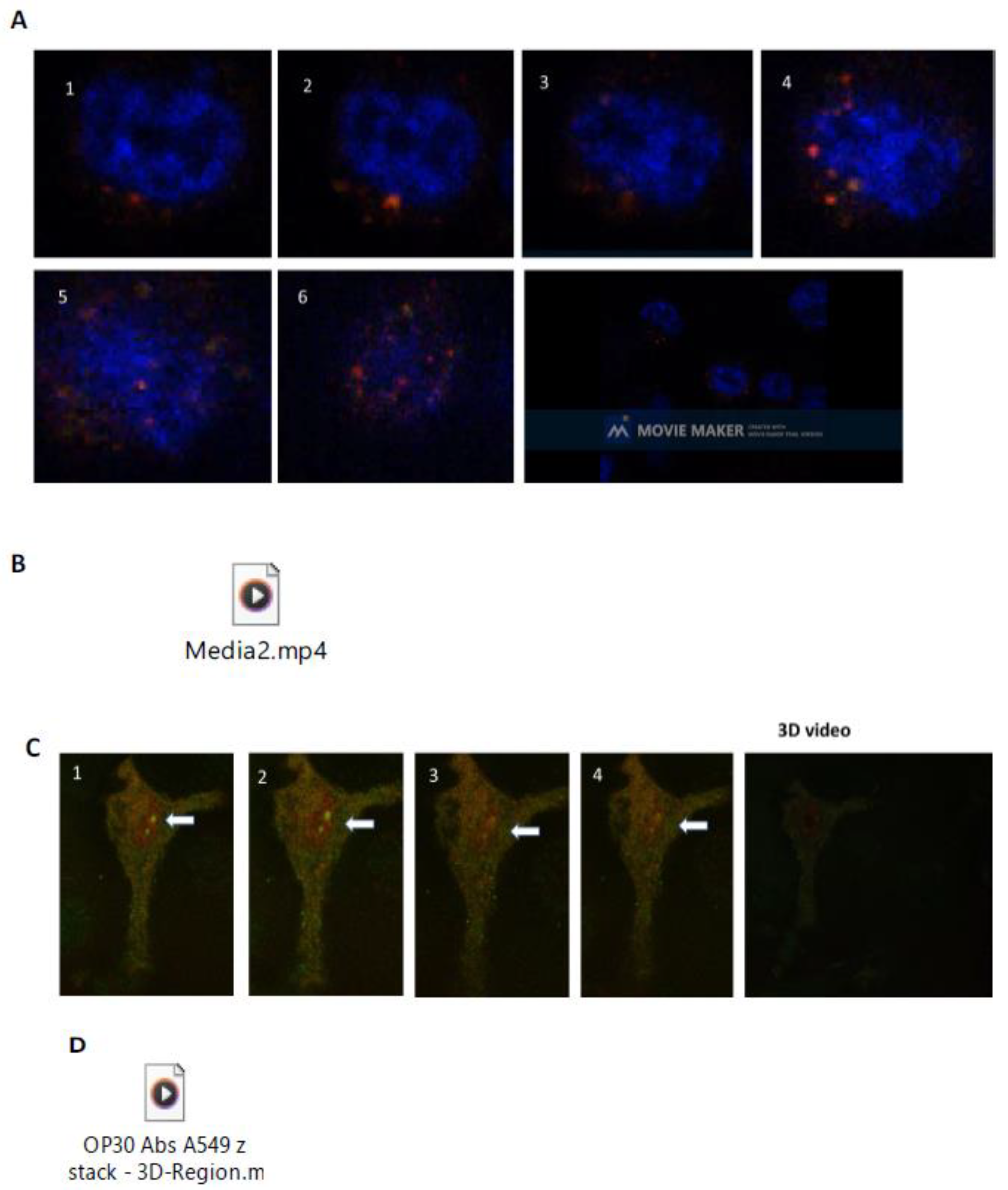 Cells 12 01332 g003 Cells 12 01332 g003