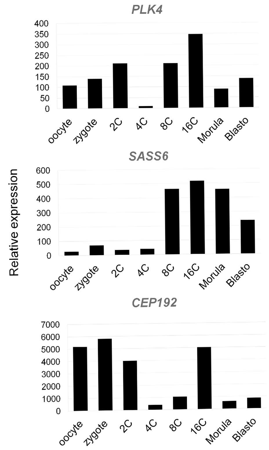 Cells 12 01335 g022 Cells 12 01335 g022
