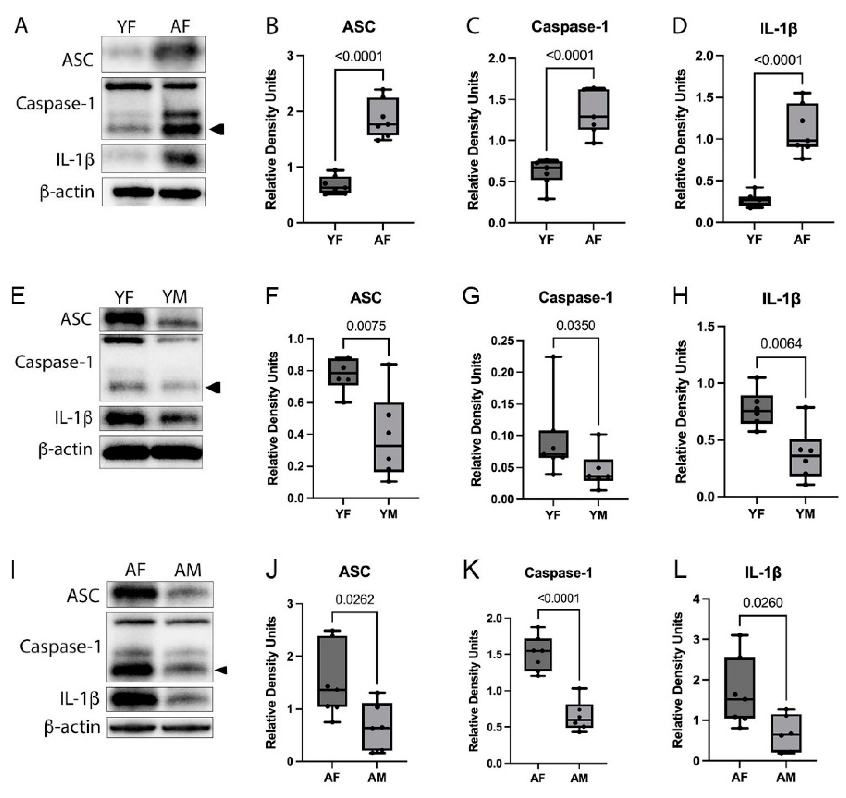 Cells 12 01372 g001 Cells 12 01372 g001