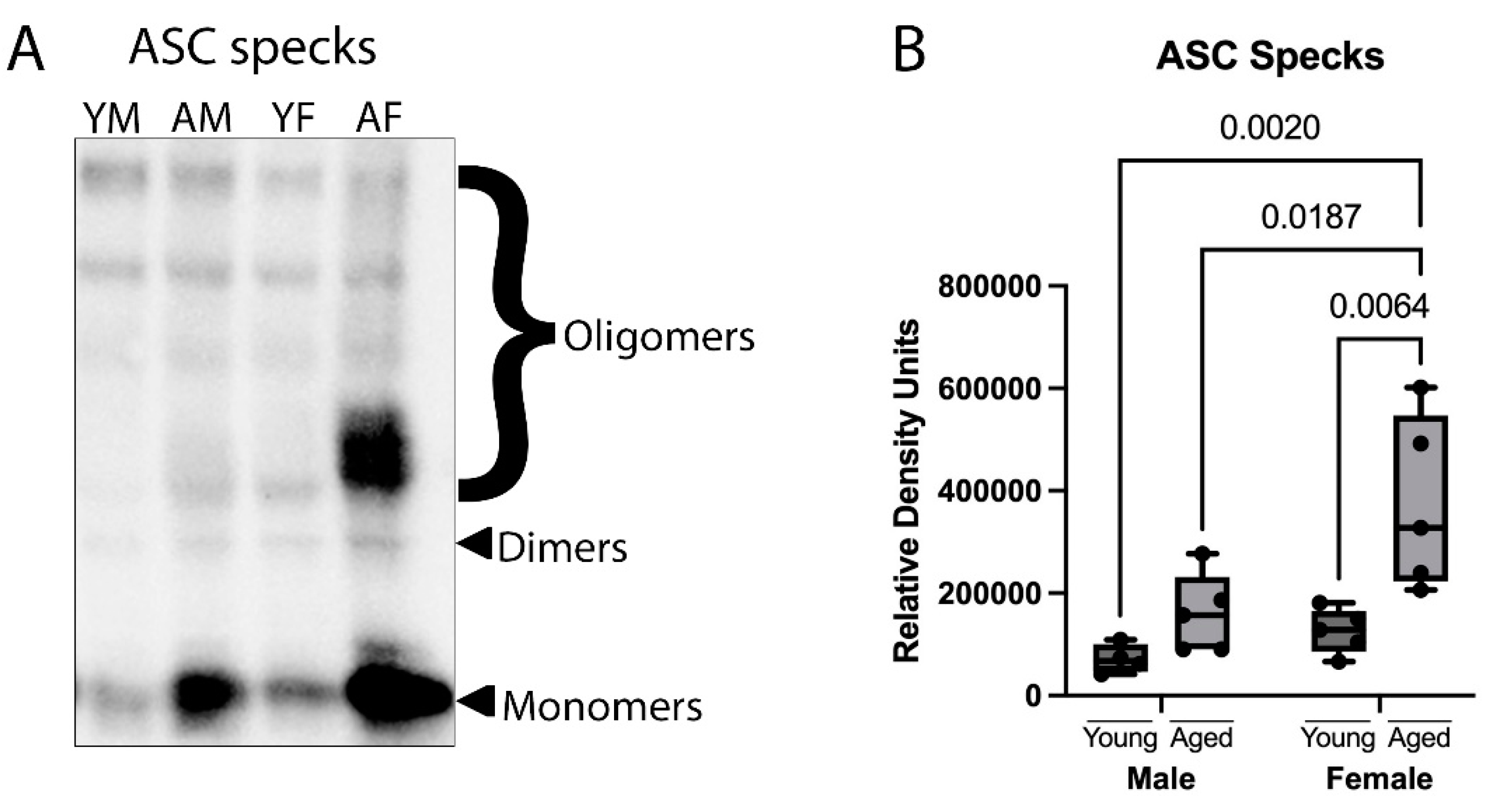 Cells 12 01372 g002 Cells 12 01372 g002