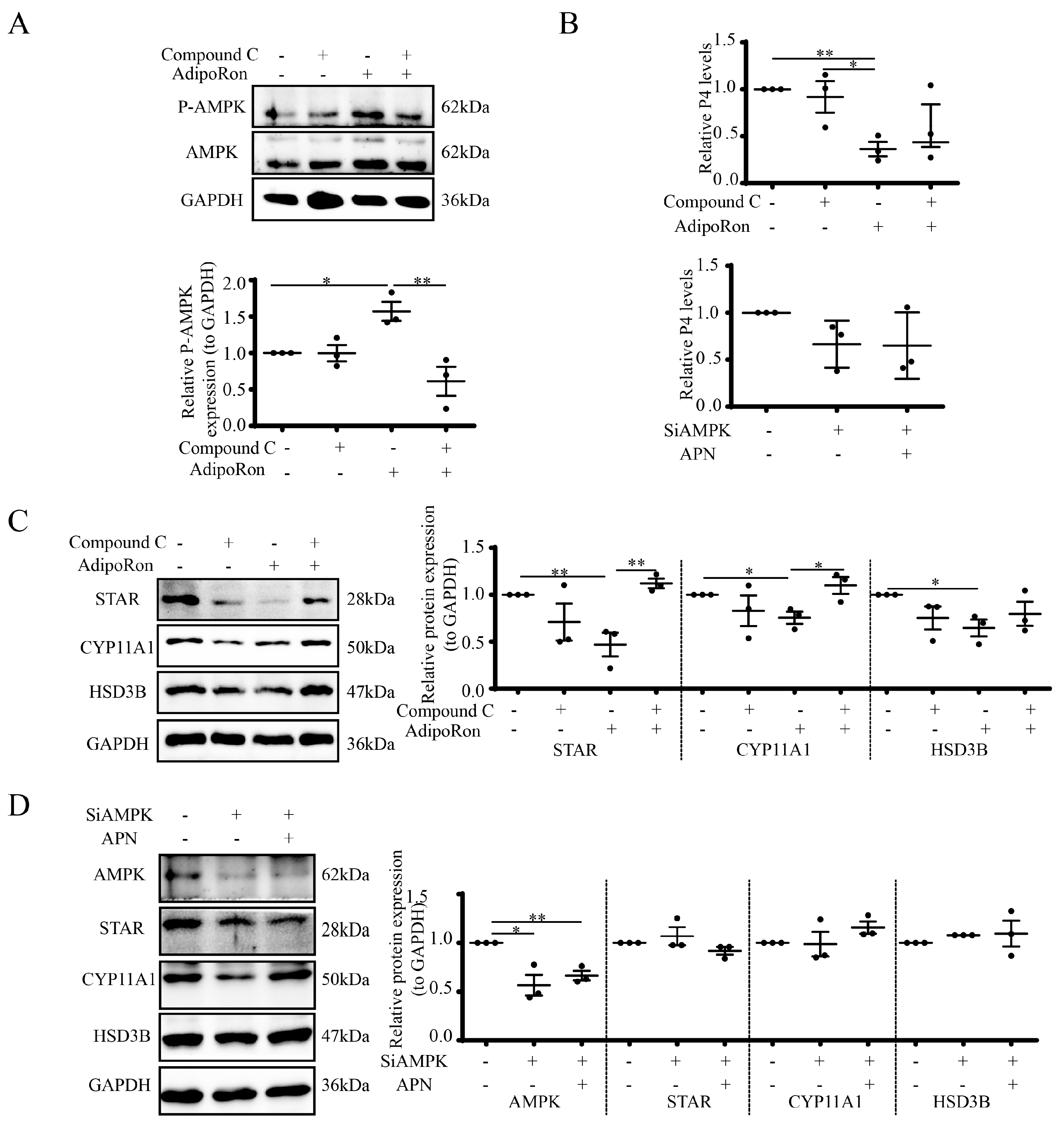 Cells 12 01393 g005 Cells 12 01393 g005