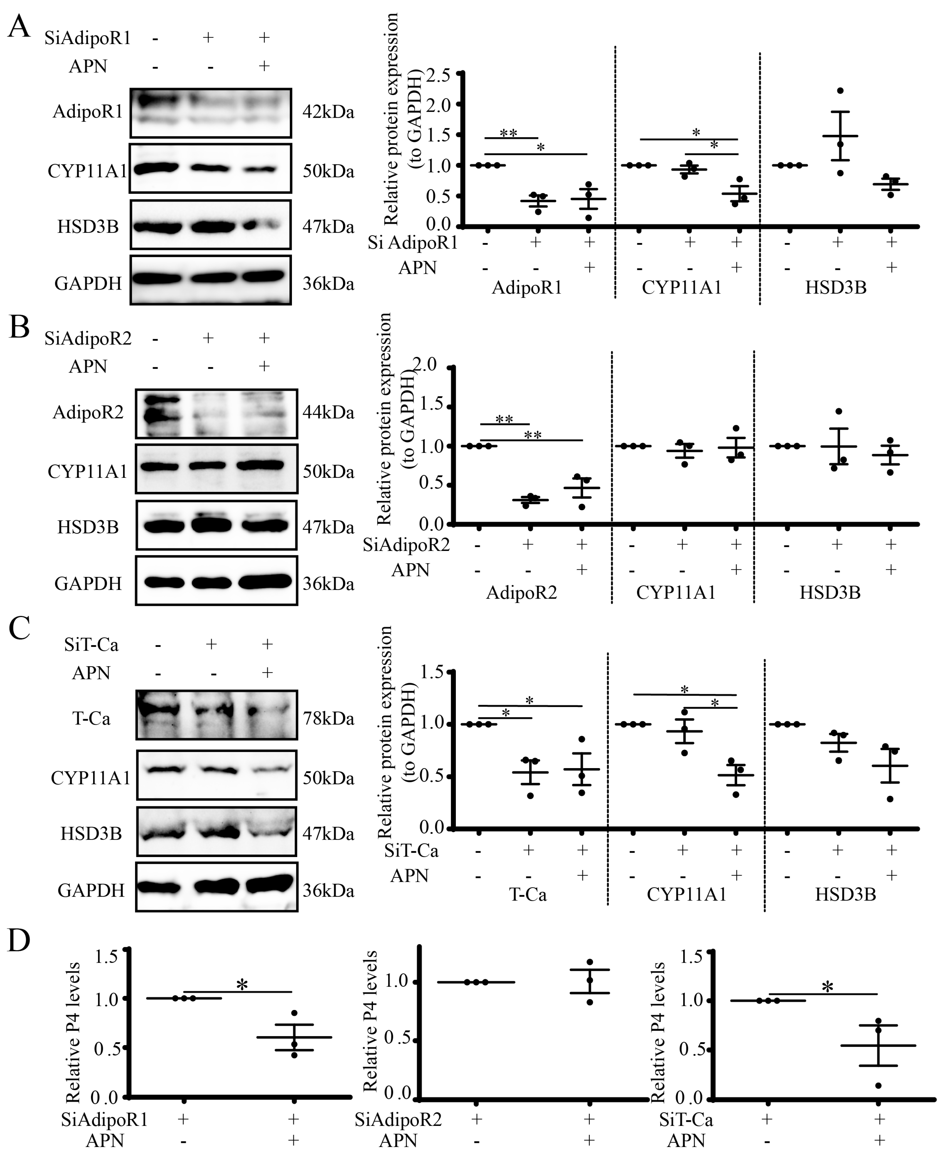 Cells 12 01393 g008 Cells 12 01393 g008