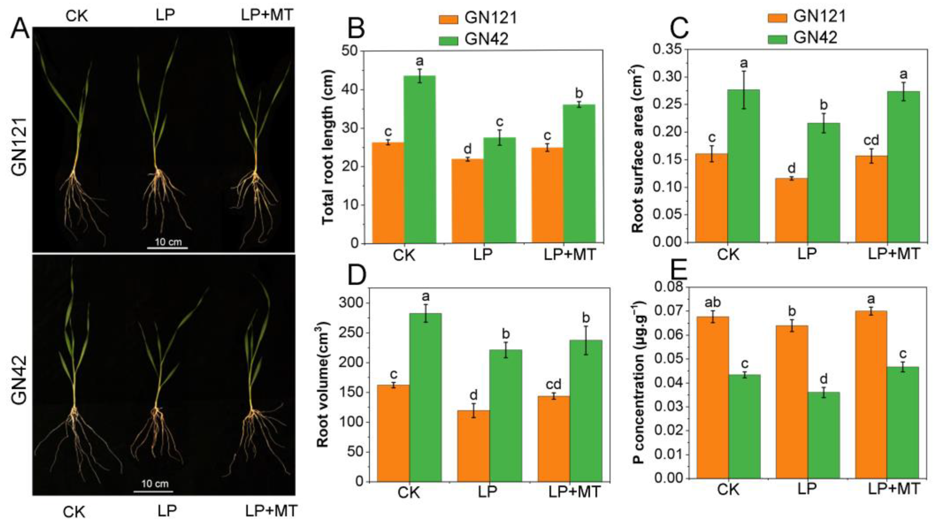 Cells 12 01397 g001 Cells 12 01397 g001