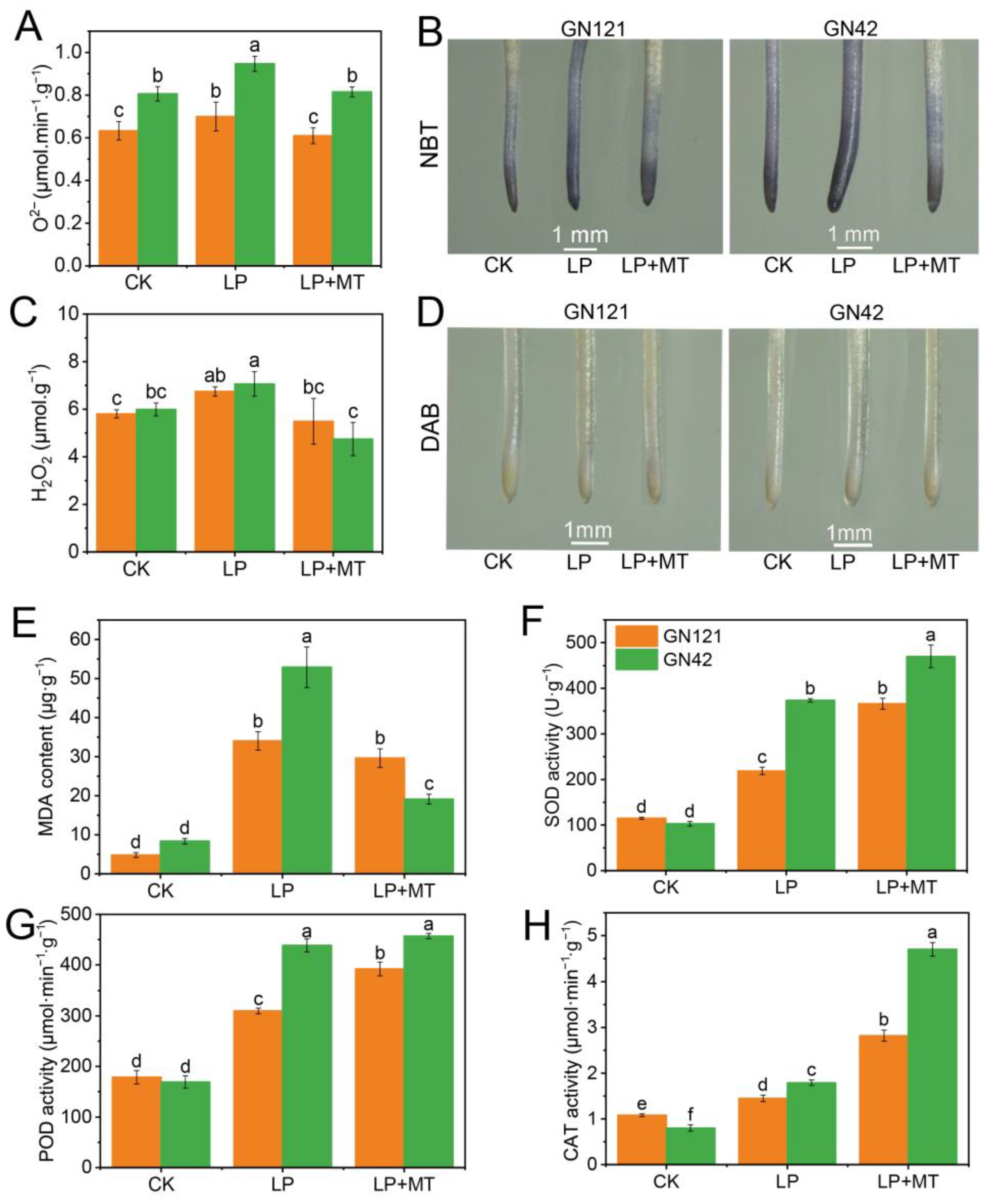 Cells 12 01397 g003 Cells 12 01397 g003