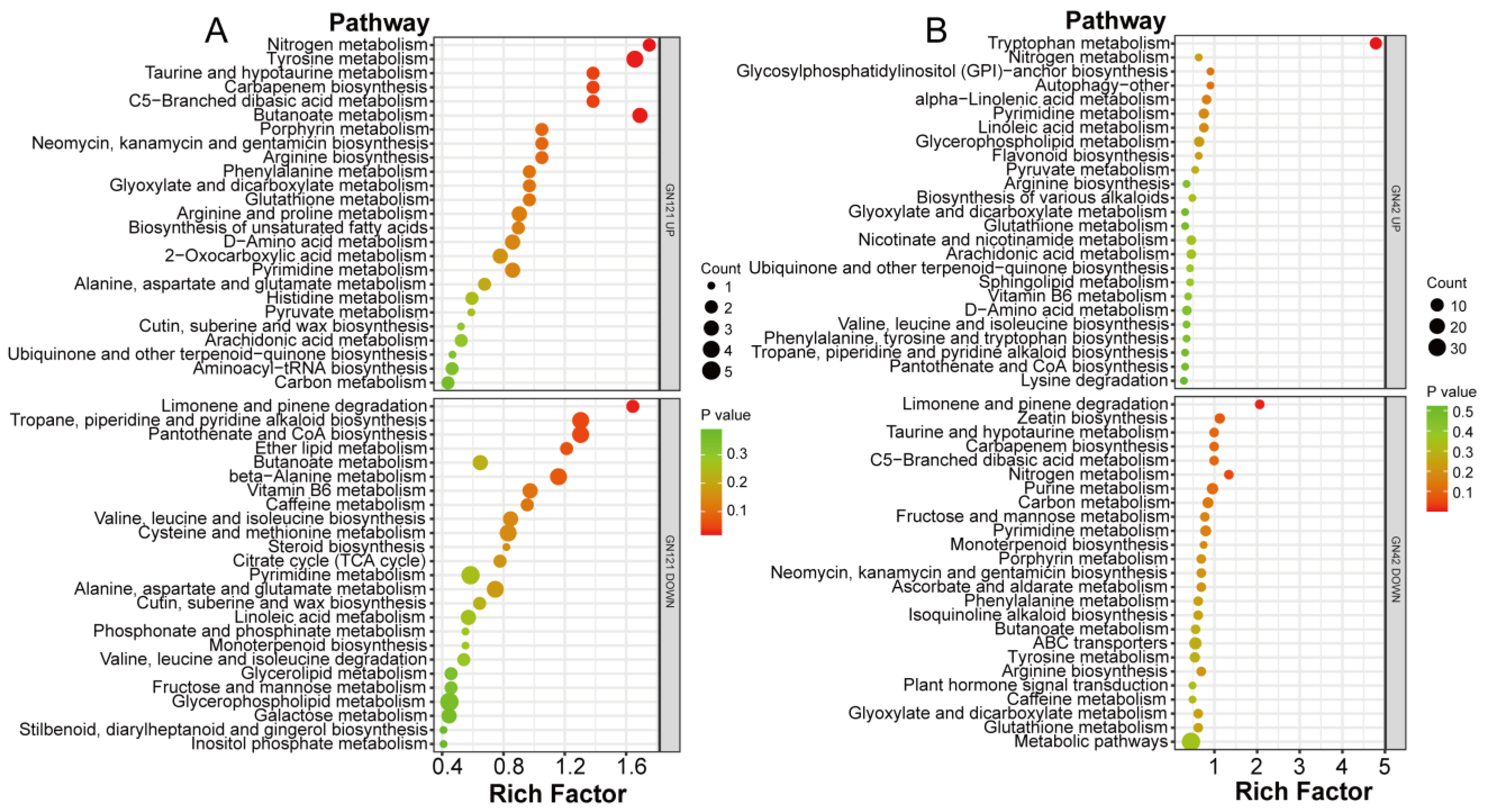 Cells 12 01397 g006 Cells 12 01397 g006