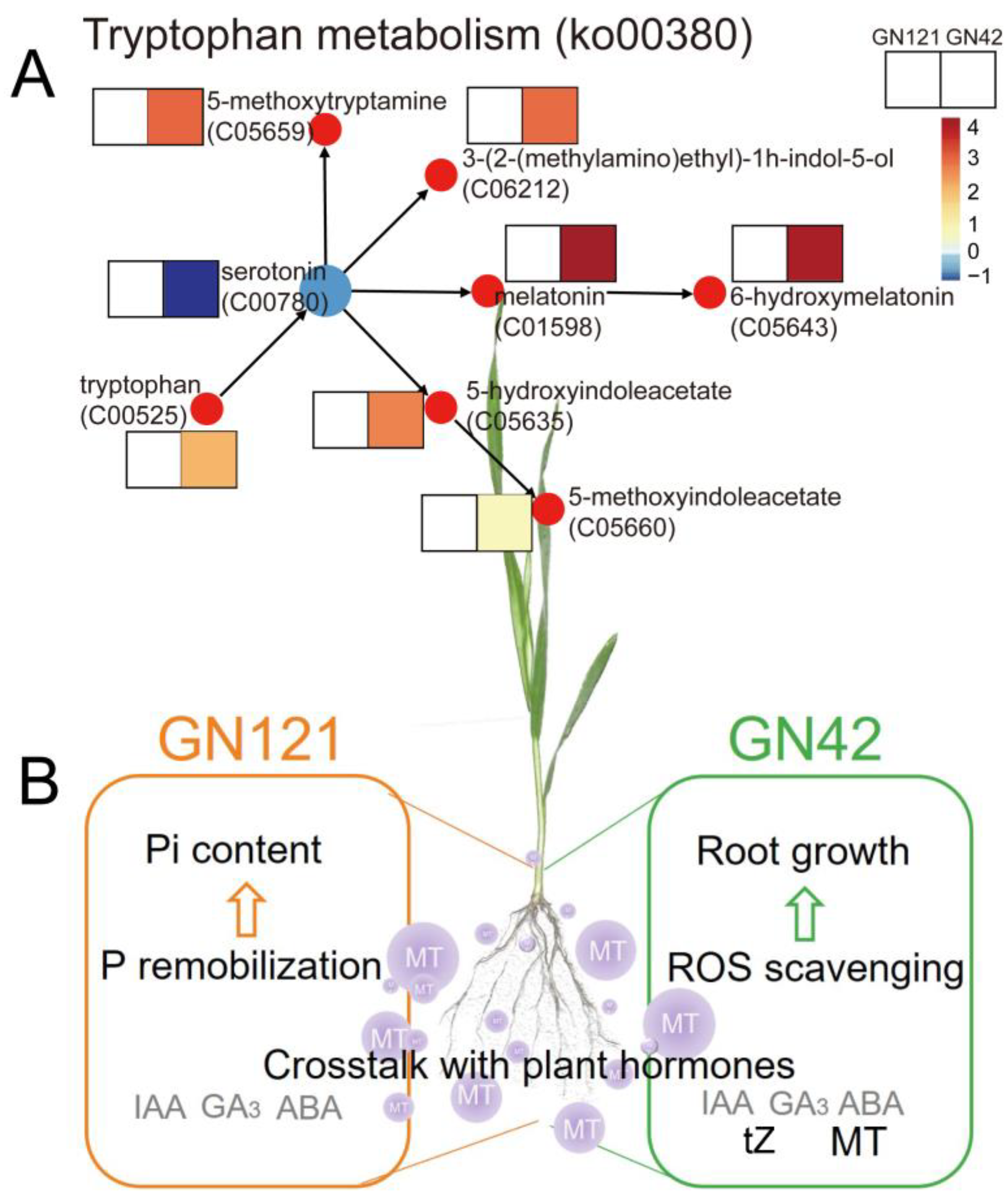 Cells 12 01397 g007 Cells 12 01397 g007