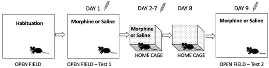 https://www.mdpi.com/cells/cells-12-01412/article_deploy/html/images/cells-12-01412-g001-550.jpg