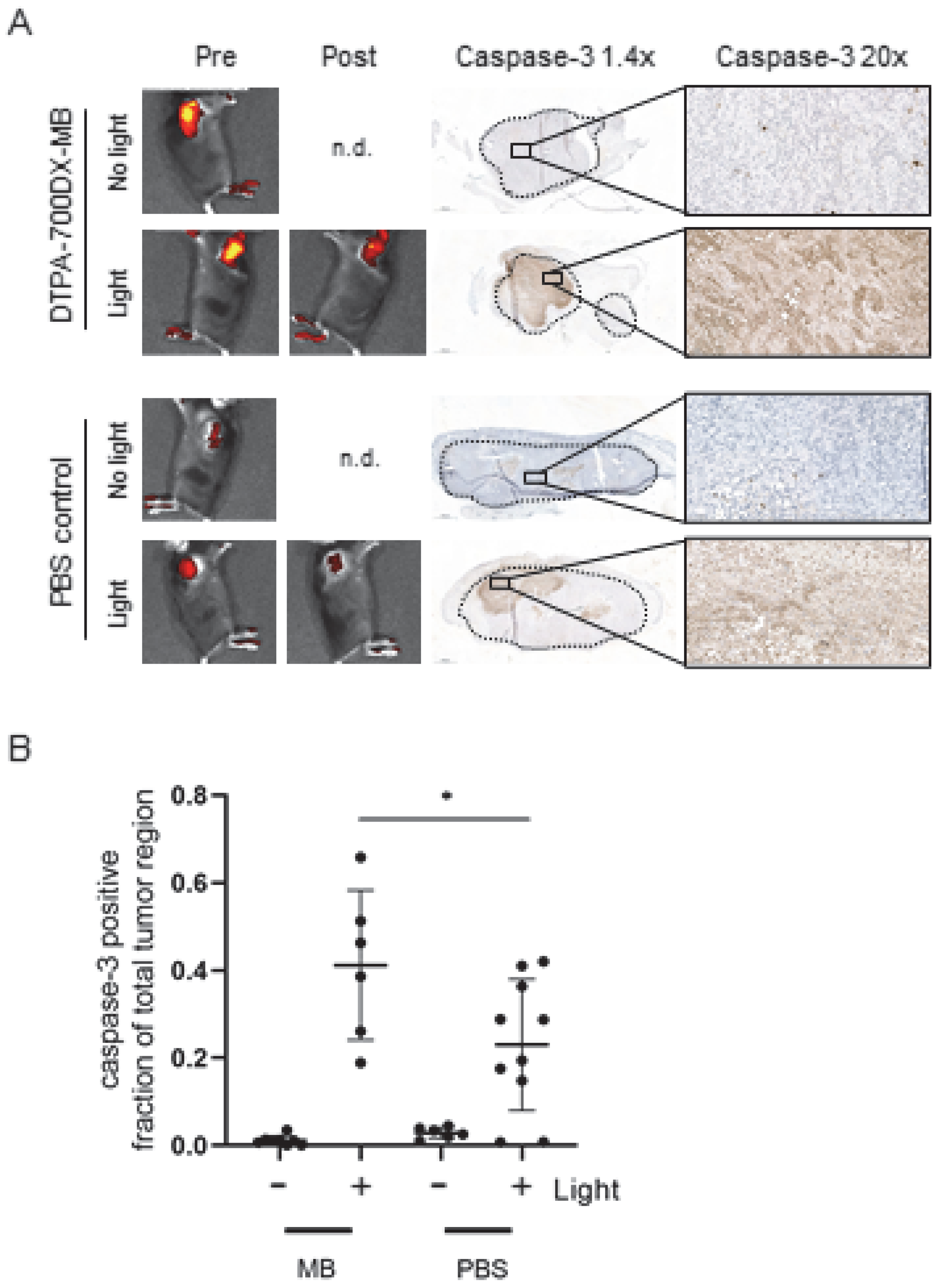 Cells | Free Full-Text | Fibroblast Activation Protein-Targeting  Minibody-IRDye700DX for Ablation of the Cancer-Associated Fibroblast with  Photodynamic Therapy
