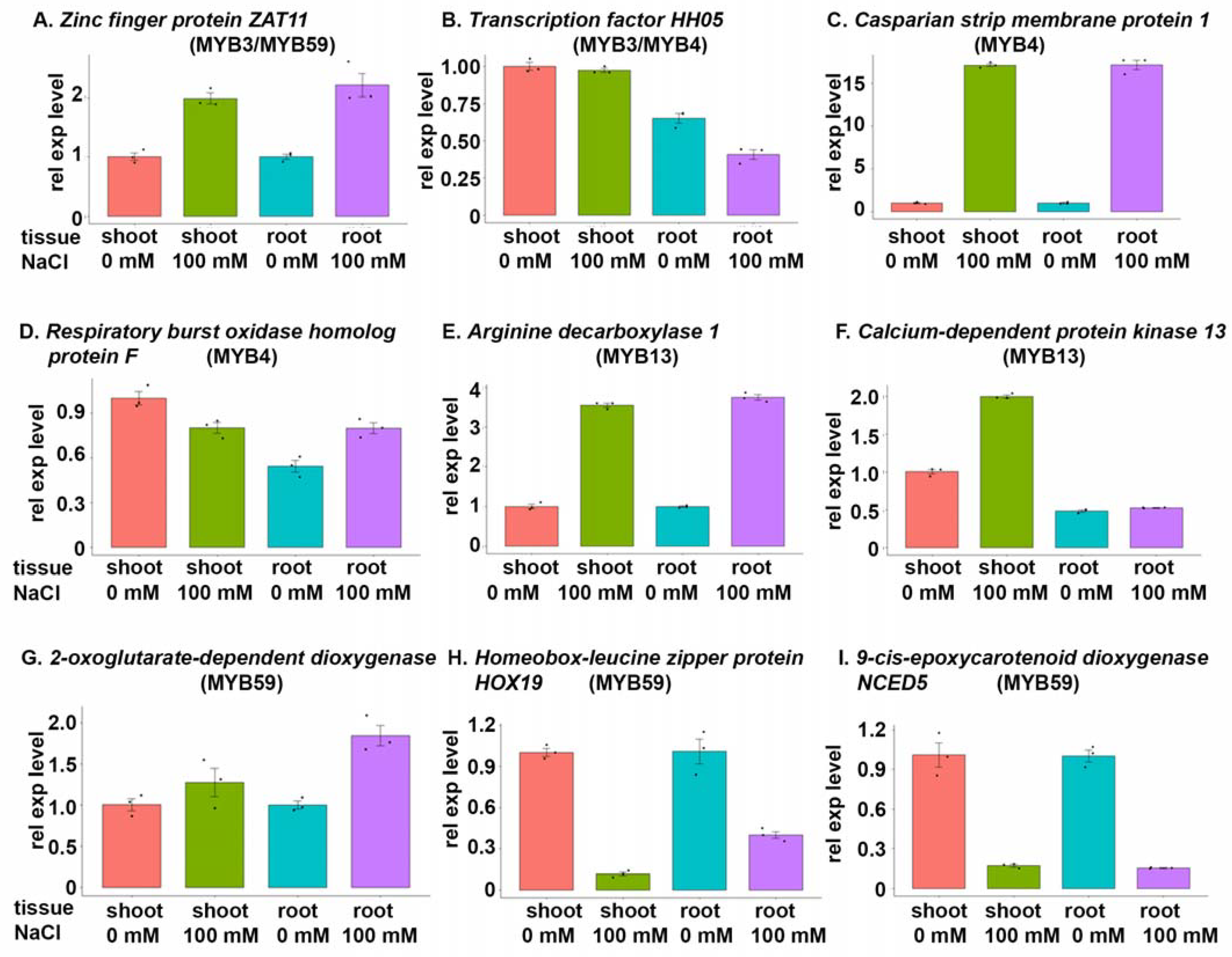 Cells 12 01431 g006 Cells 12 01431 g006