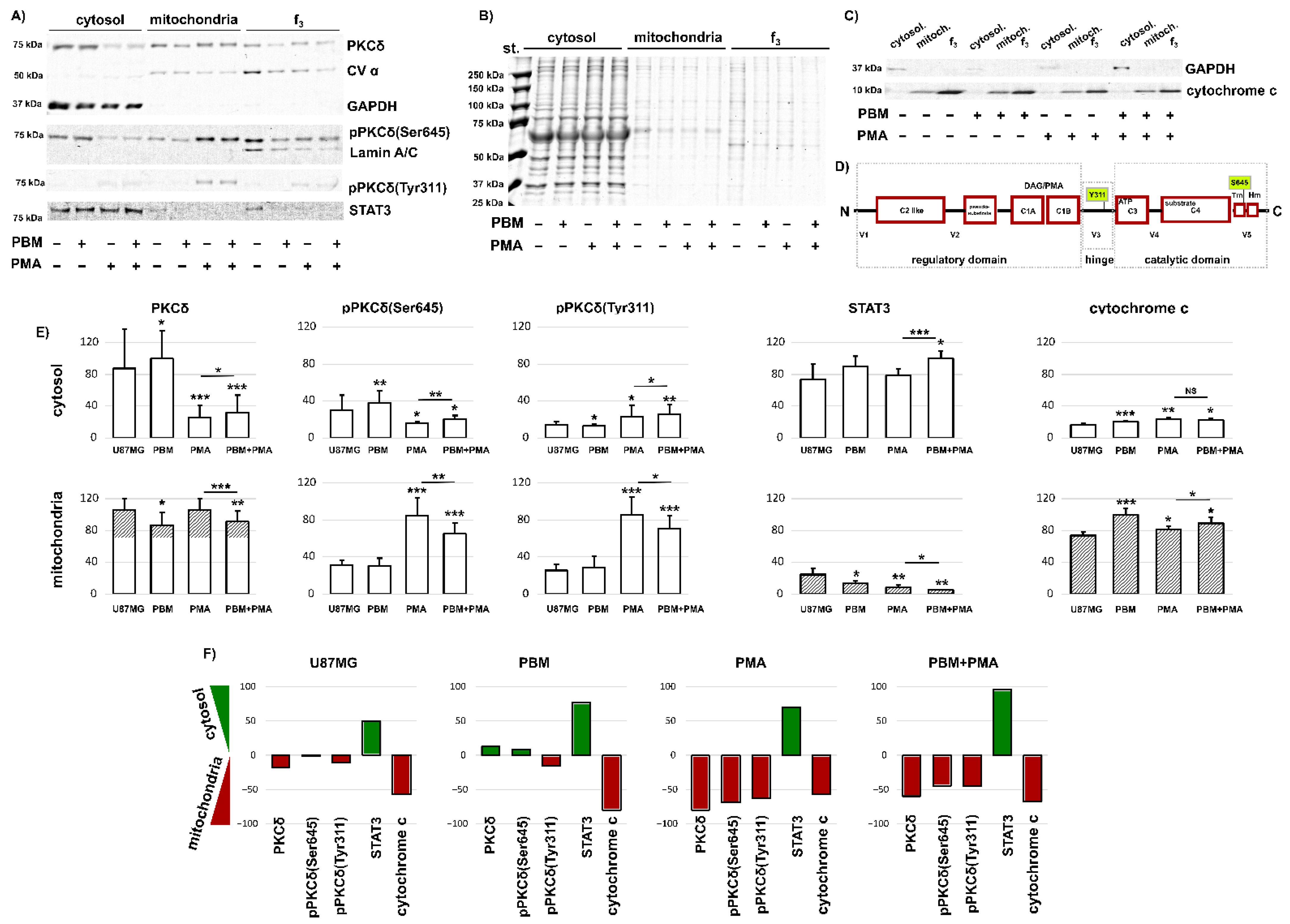 Cells 12 01441 g005 Cells 12 01441 g005