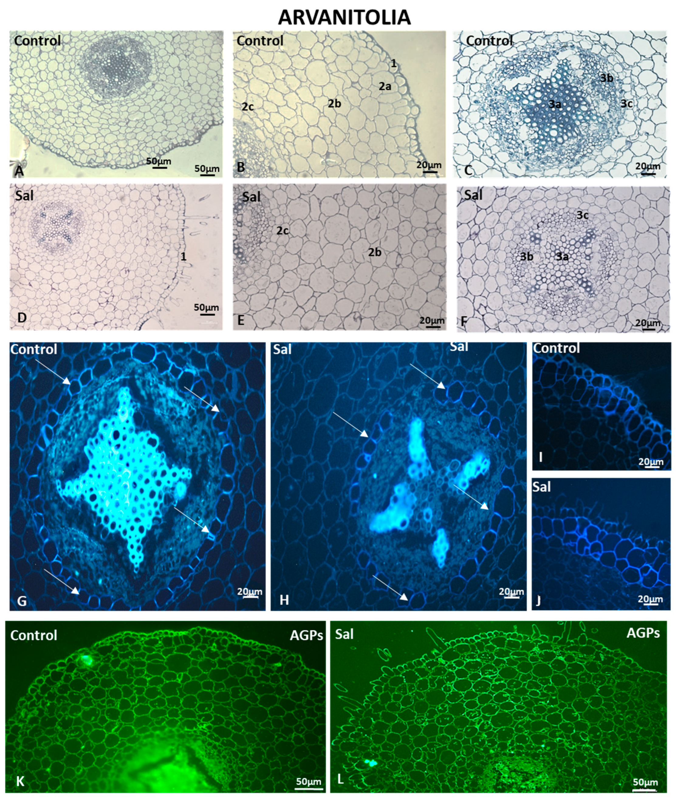 Cells 12 01466 g011 Cells 12 01466 g011
