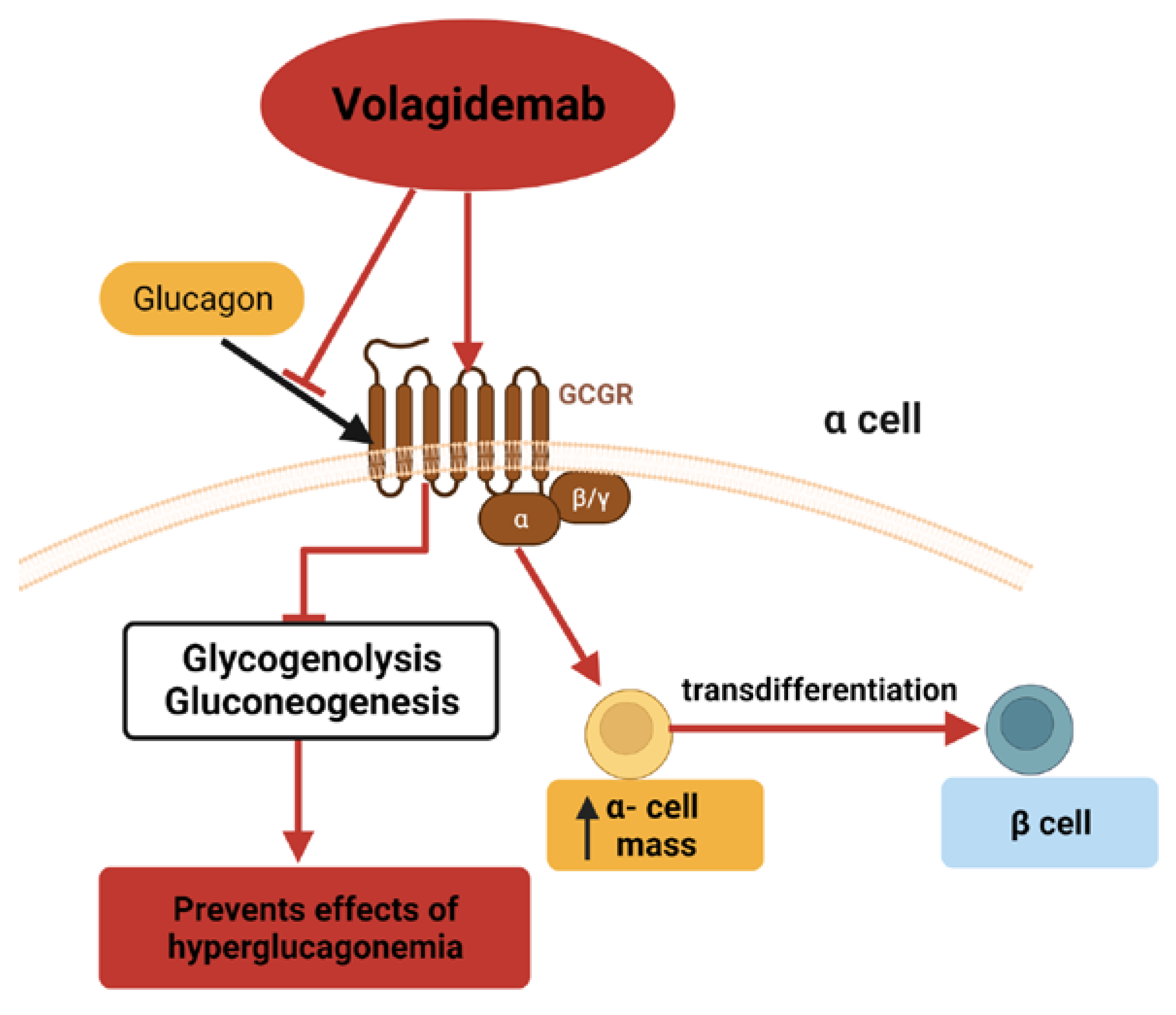 Cells 12 01472 g004 Cells 12 01472 g004