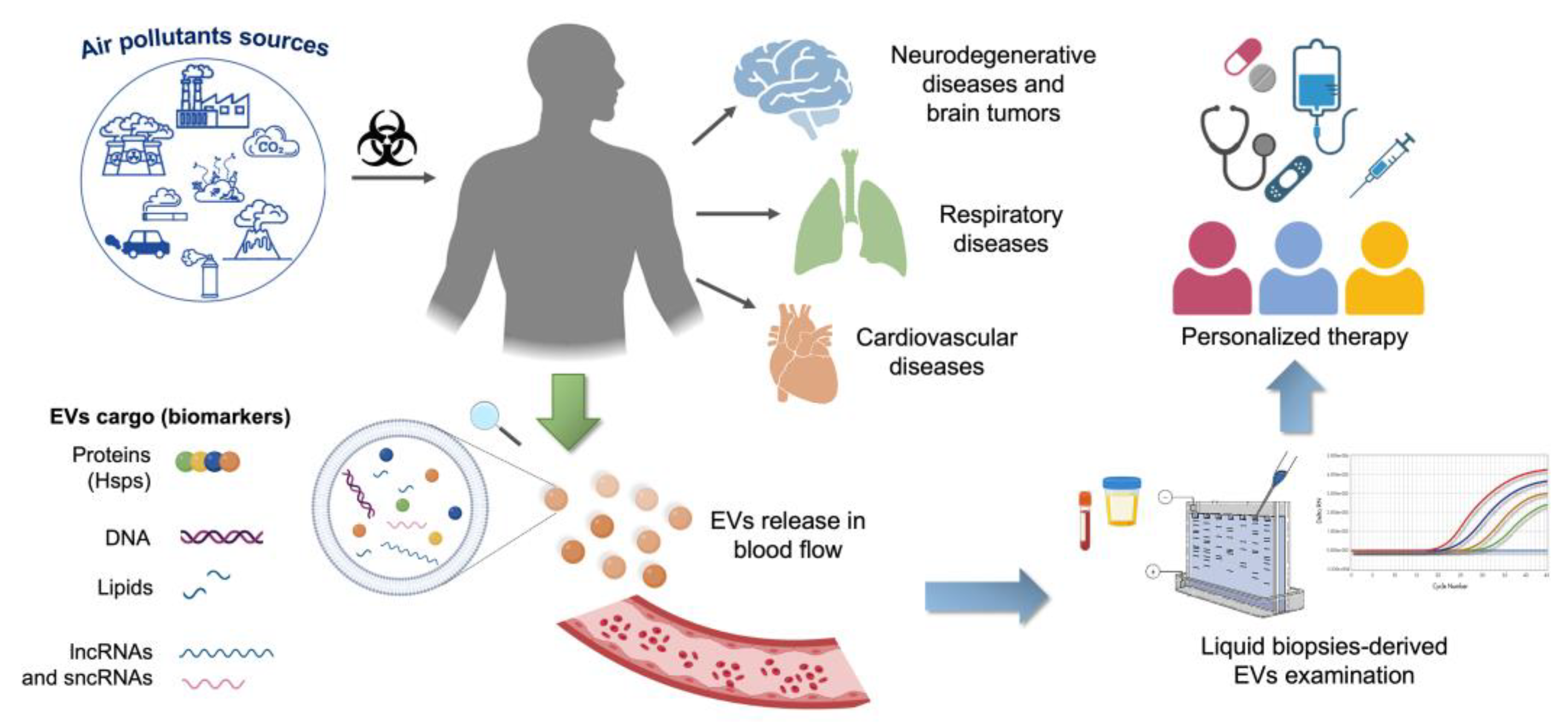 Cells | Free Full-Text | Air Pollution: Role of Extracellular 