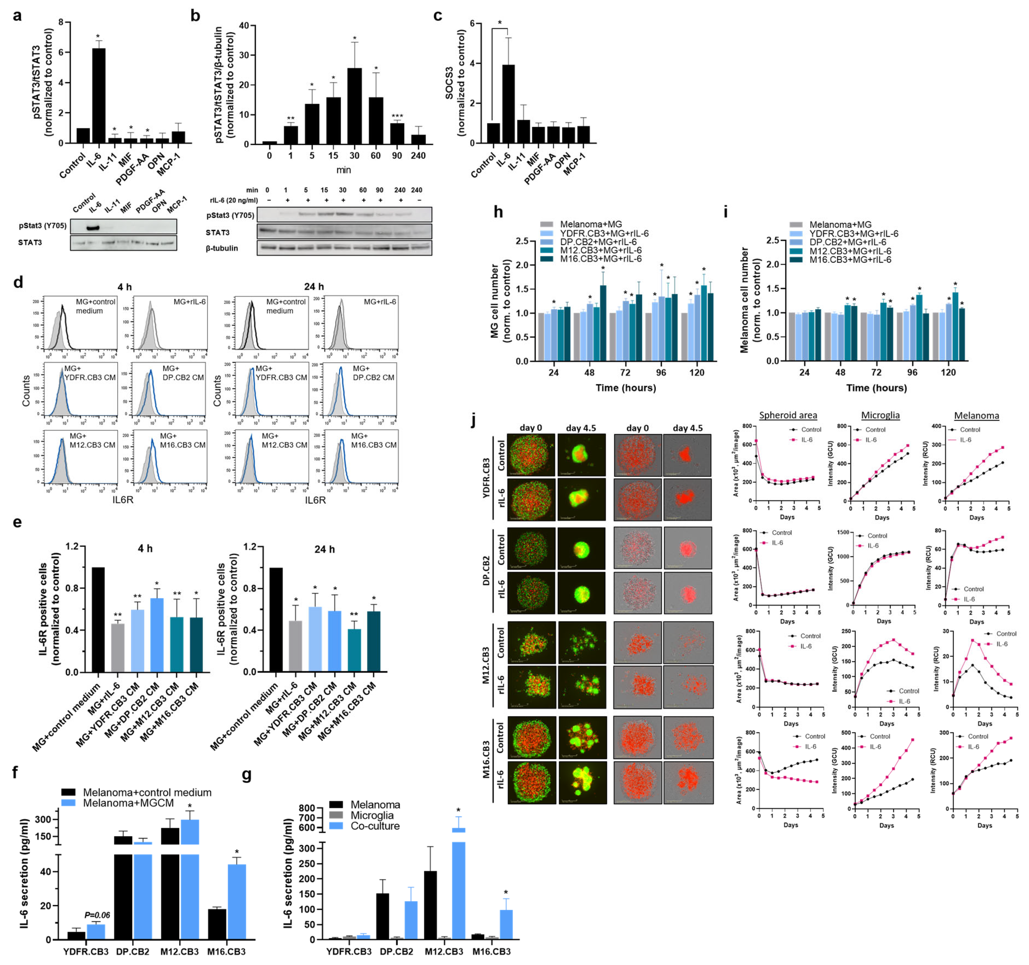 Cells 12 01513 g004 Cells 12 01513 g004