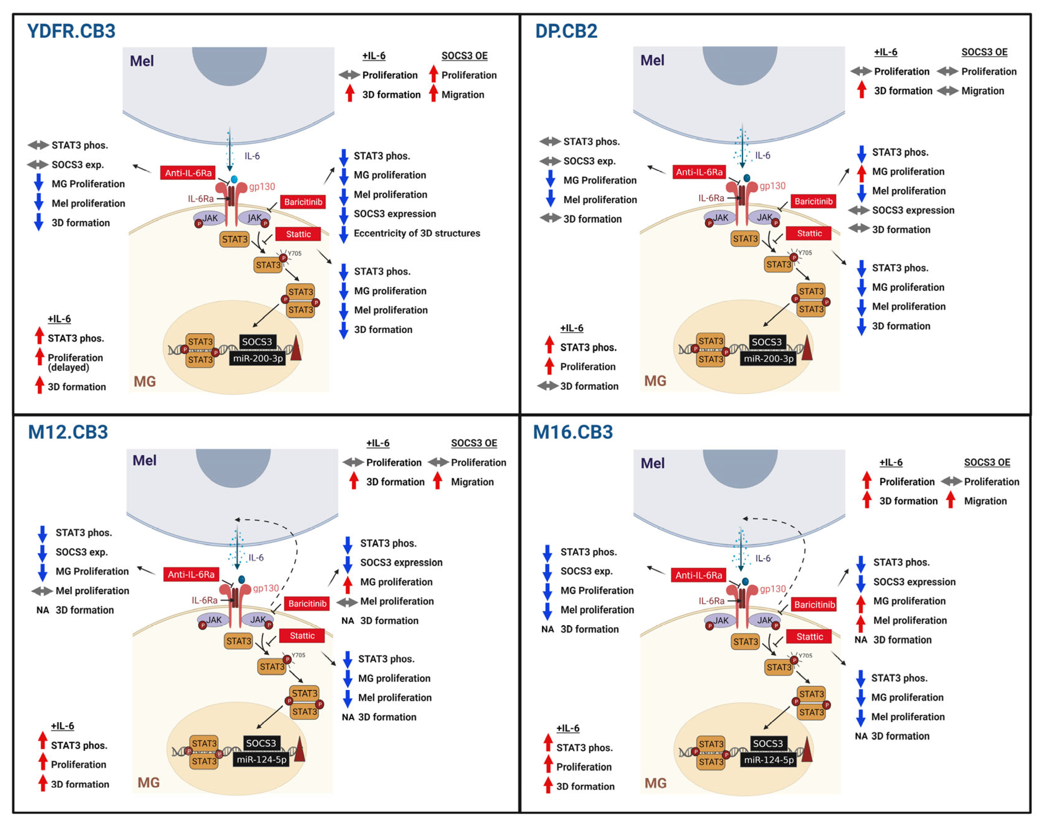 Cells 12 01513 g007 Cells 12 01513 g007