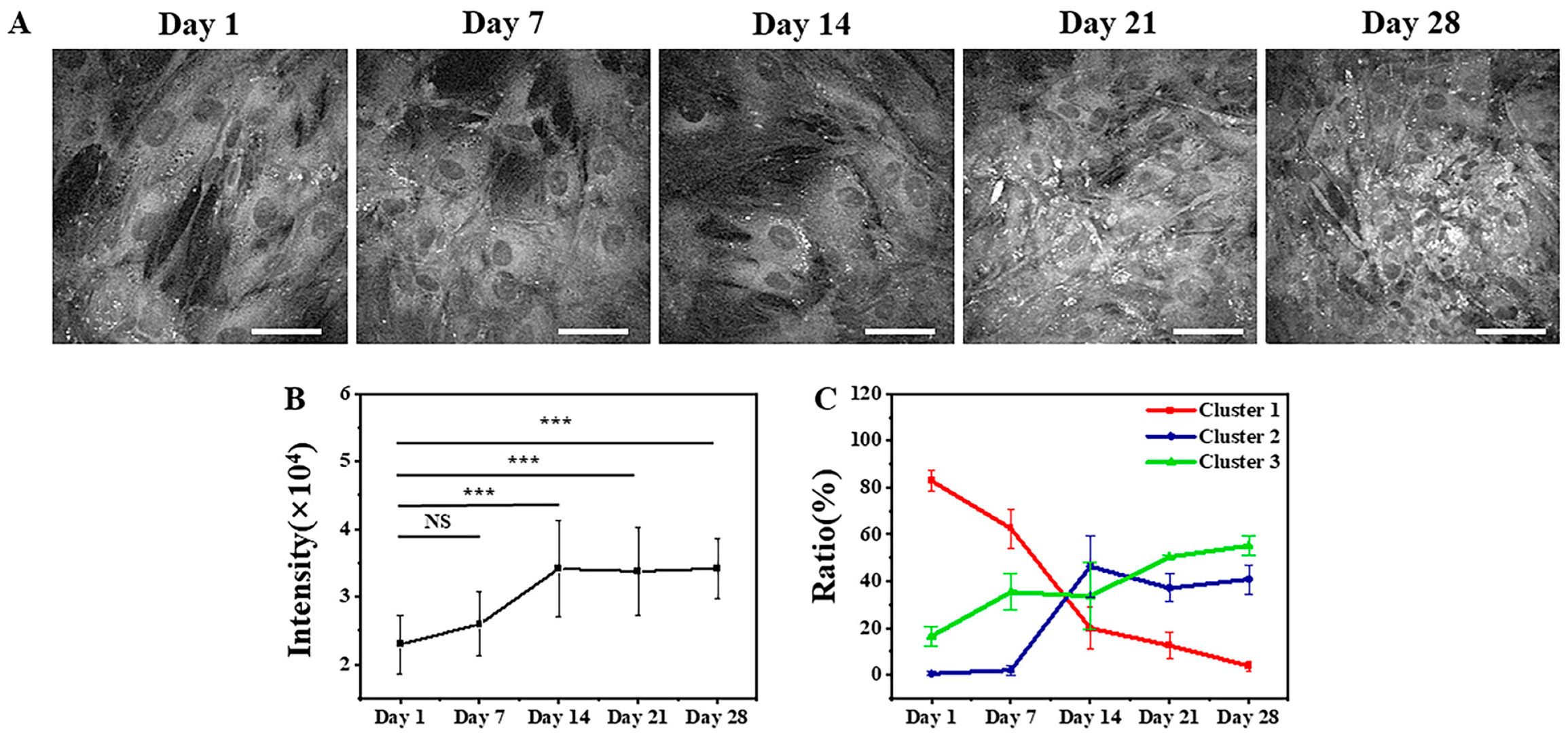 Cells 12 01524 g004 Cells 12 01524 g004