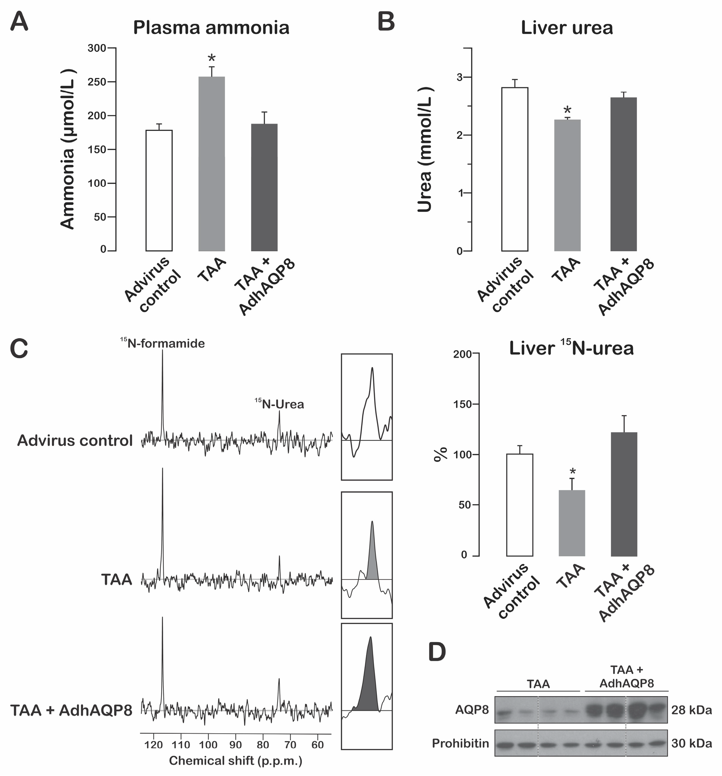 Cells 12 01535 g003 Cells 12 01535 g003
