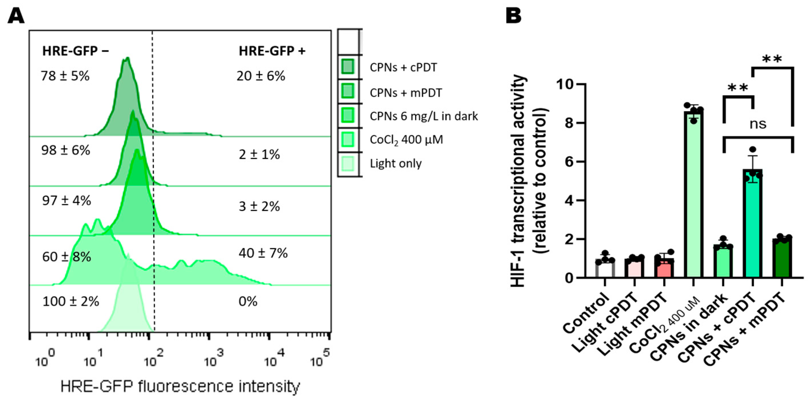 Cells 12 01541 g002 Cells 12 01541 g002