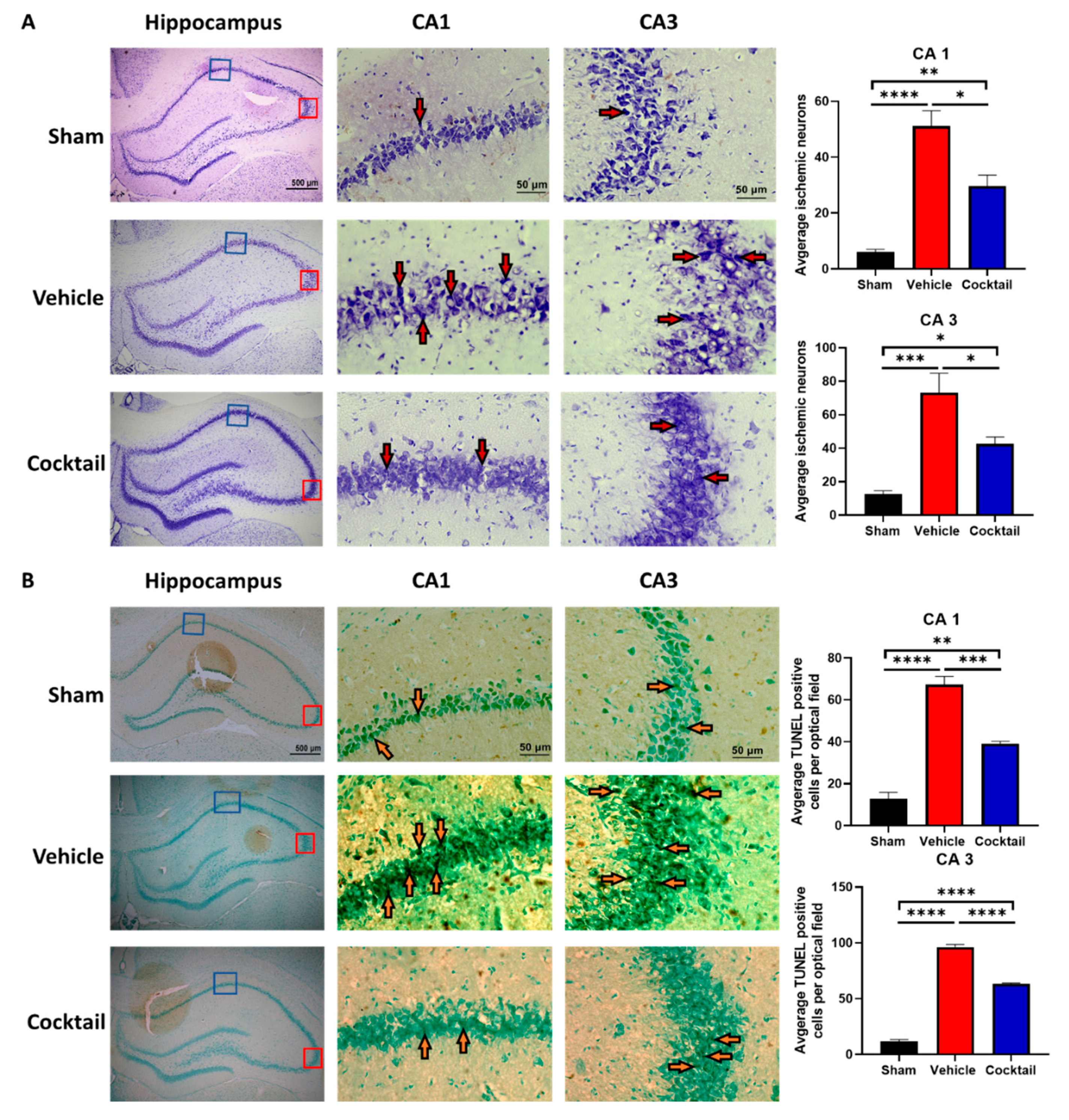 Cells 12 01548 g005a