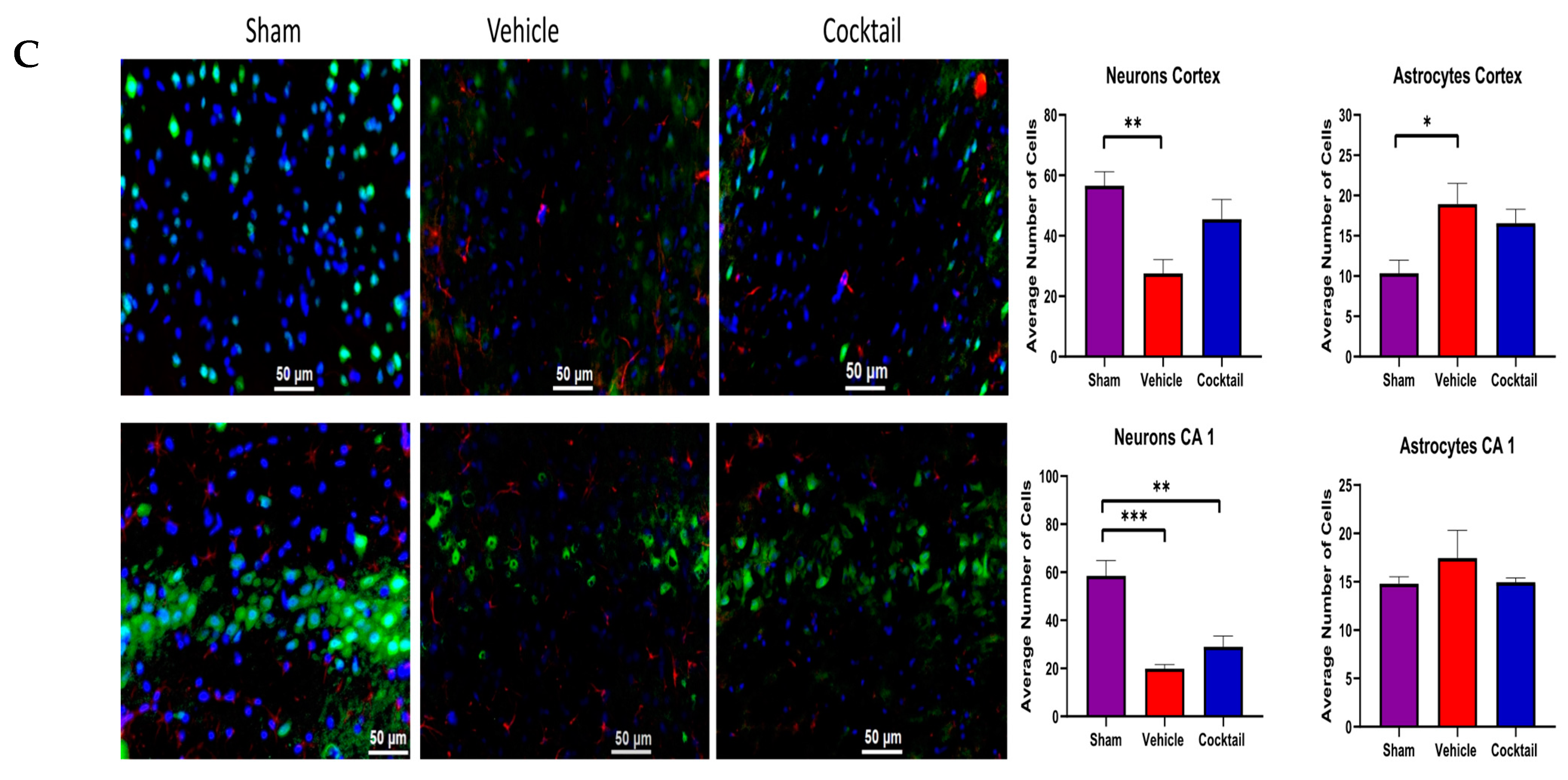 Cells 12 01548 g005b