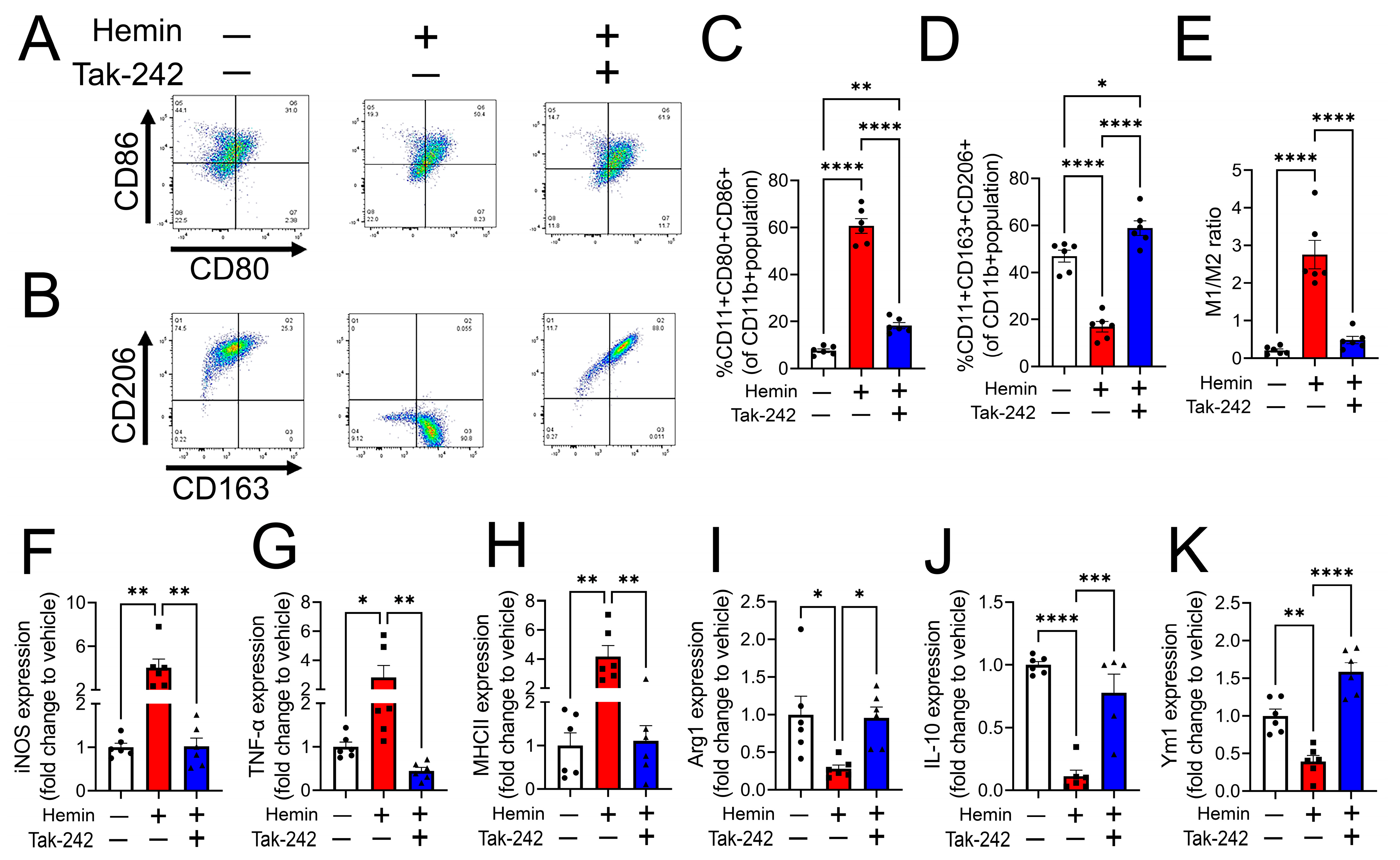 Cells 12 01565 g003 Cells 12 01565 g003