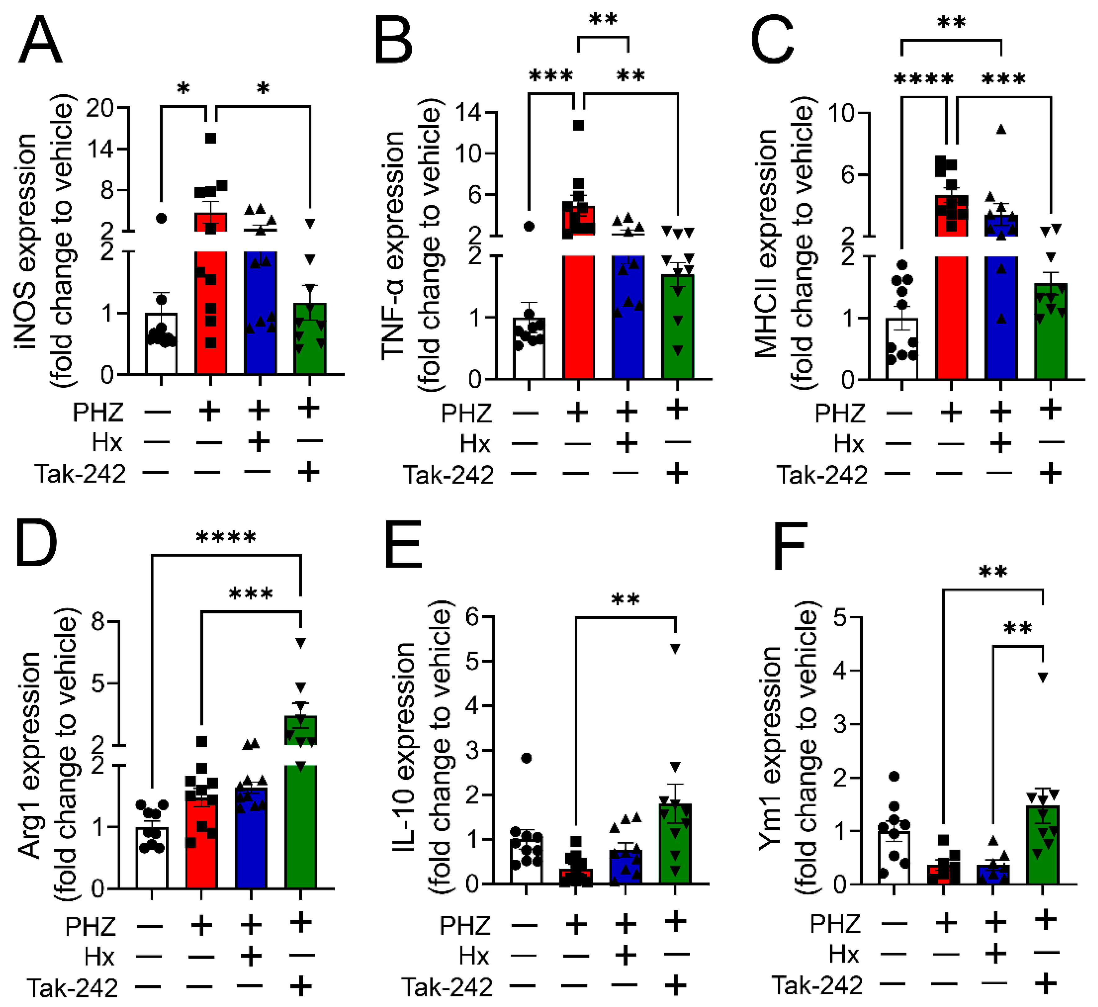 Cells 12 01565 g005 Cells 12 01565 g005