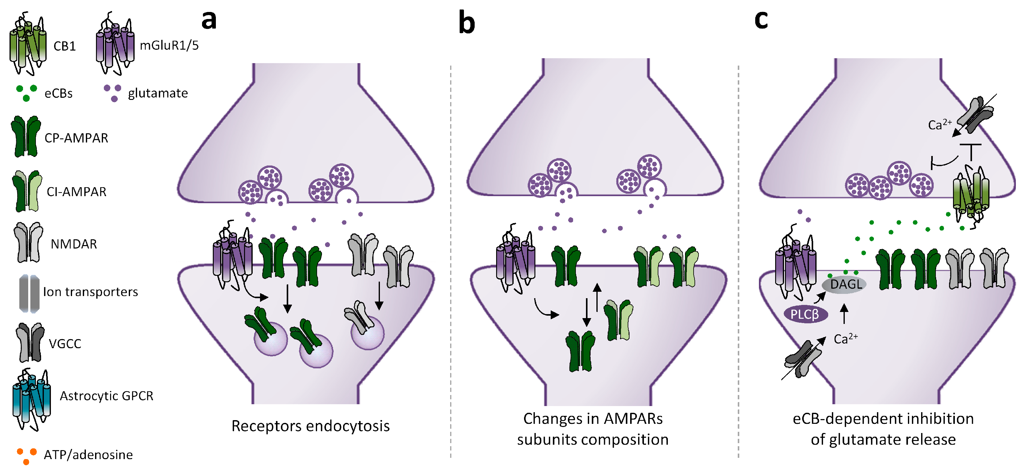 Cells 12 01588 g002a