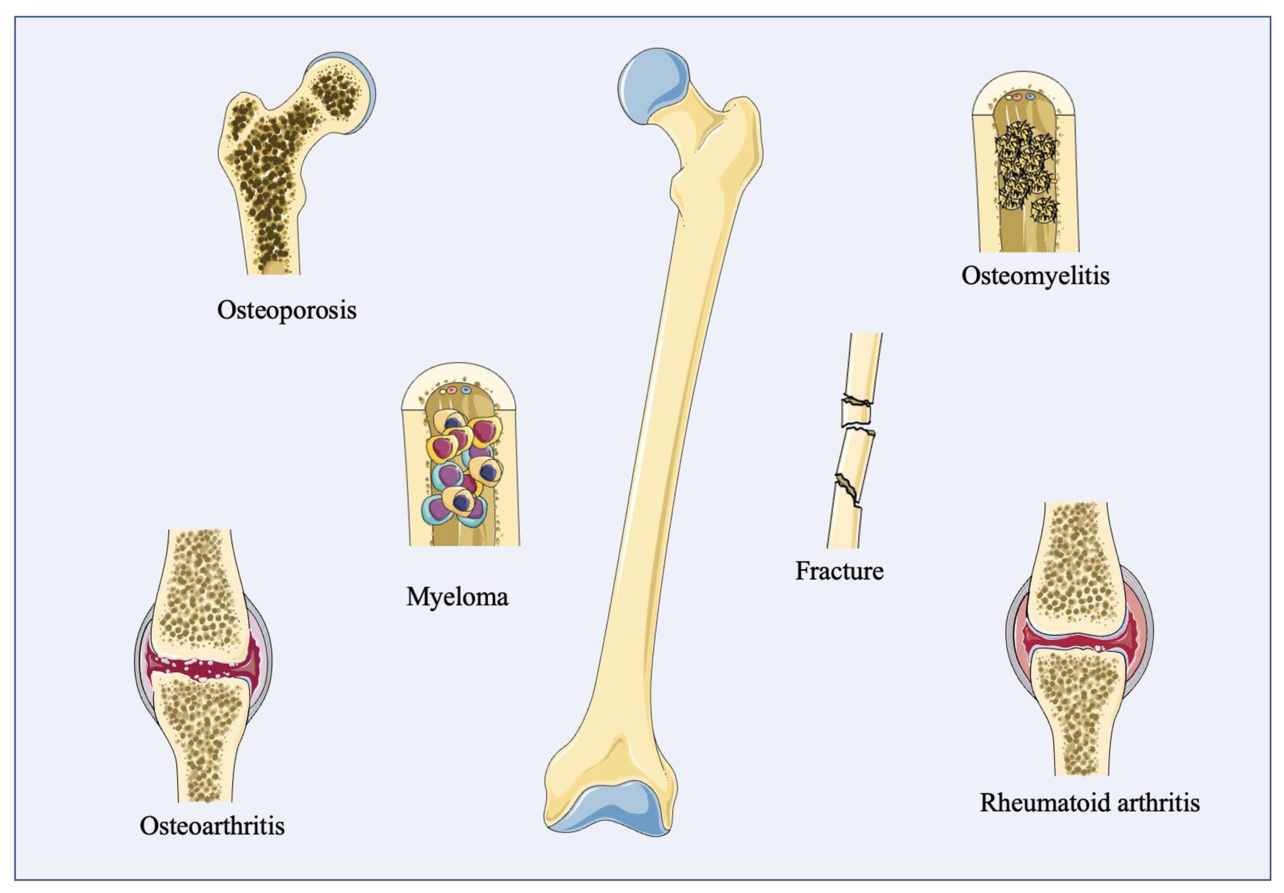 Cells 12 01590 g003 Cells 12 01590 g003