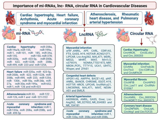 Cells Free Full Text Clinical Significance of MicroRNAs Long