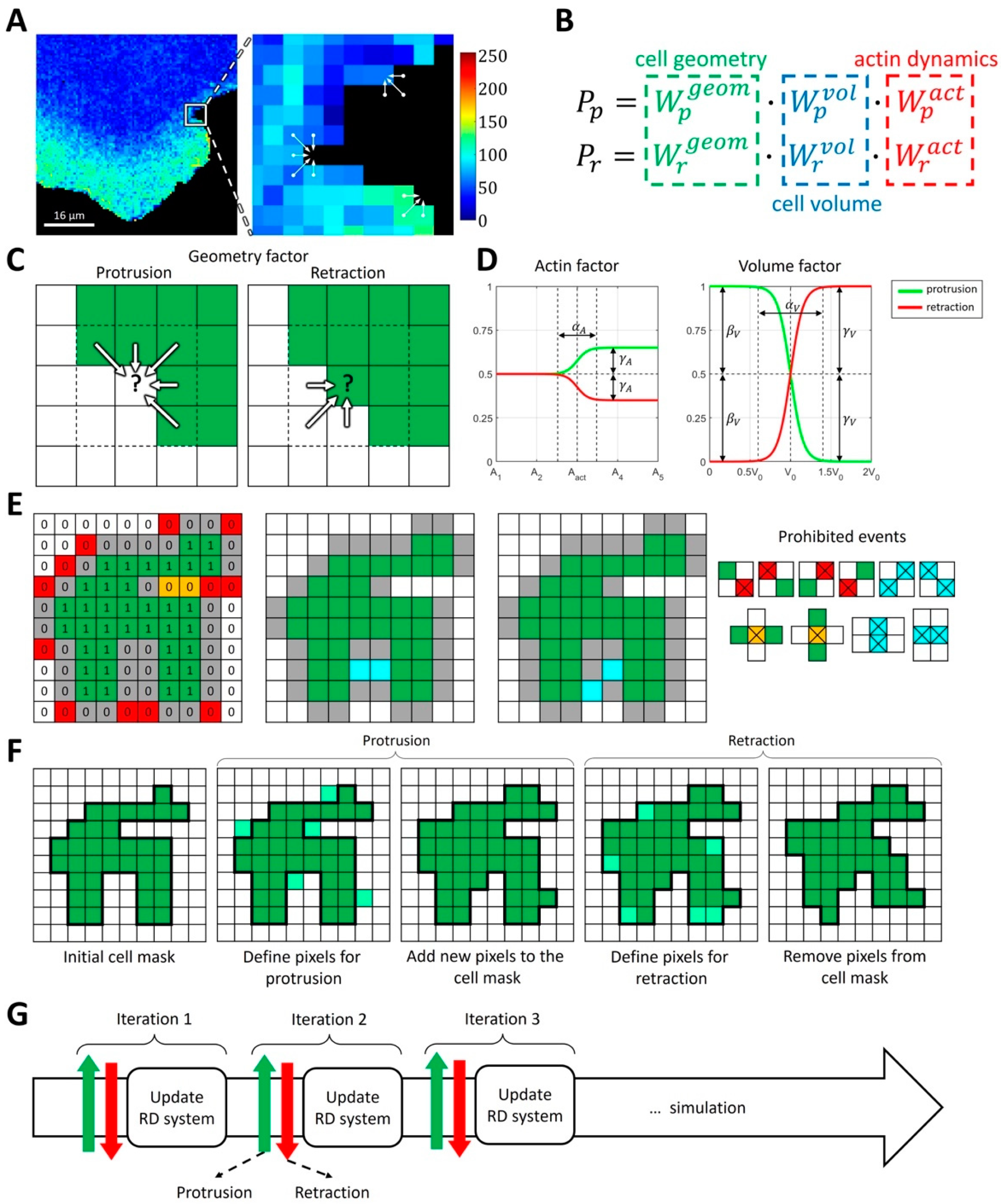 Cells 12 01638 g001 Cells 12 01638 g001