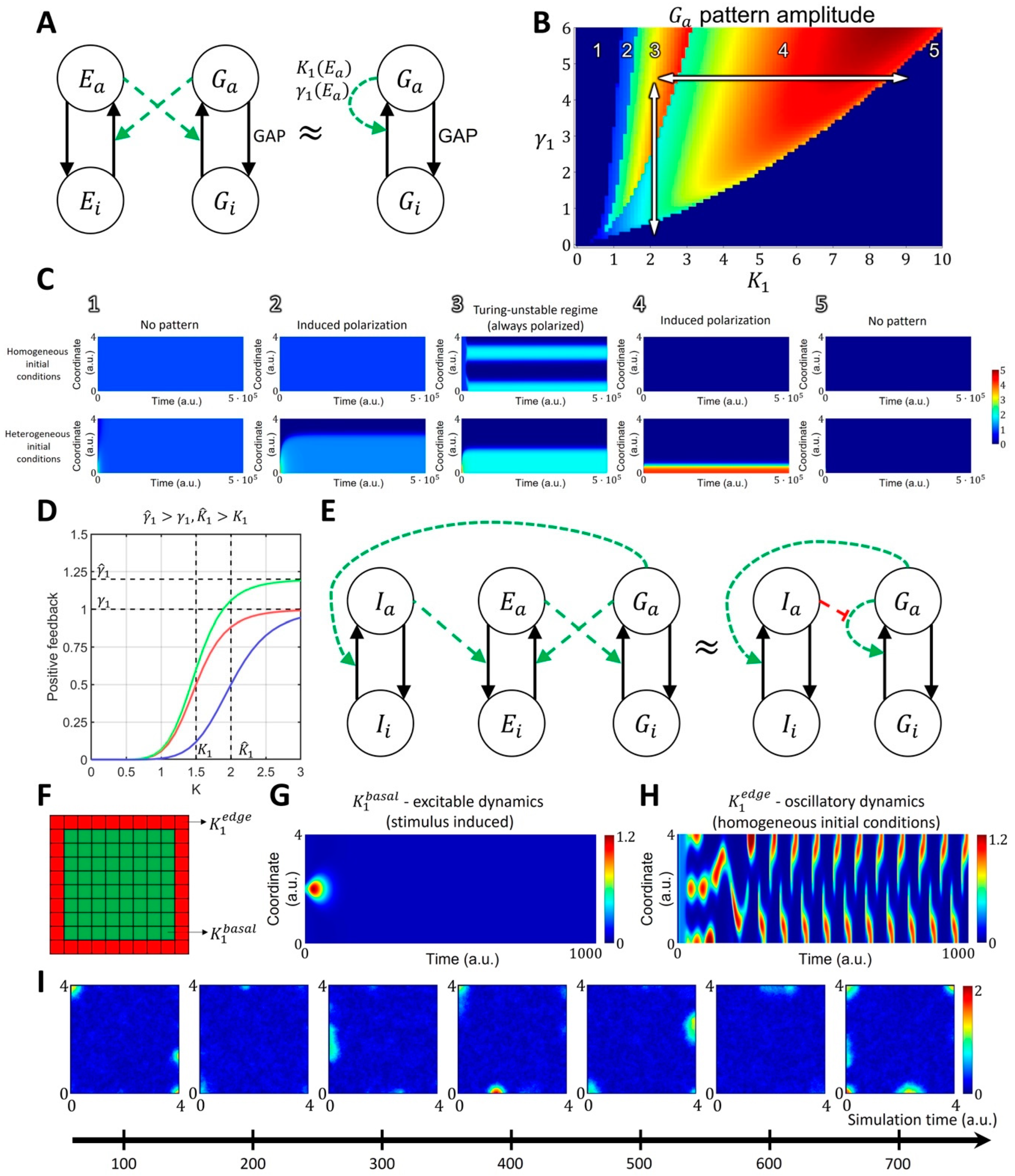 Cells 12 01638 g002 Cells 12 01638 g002