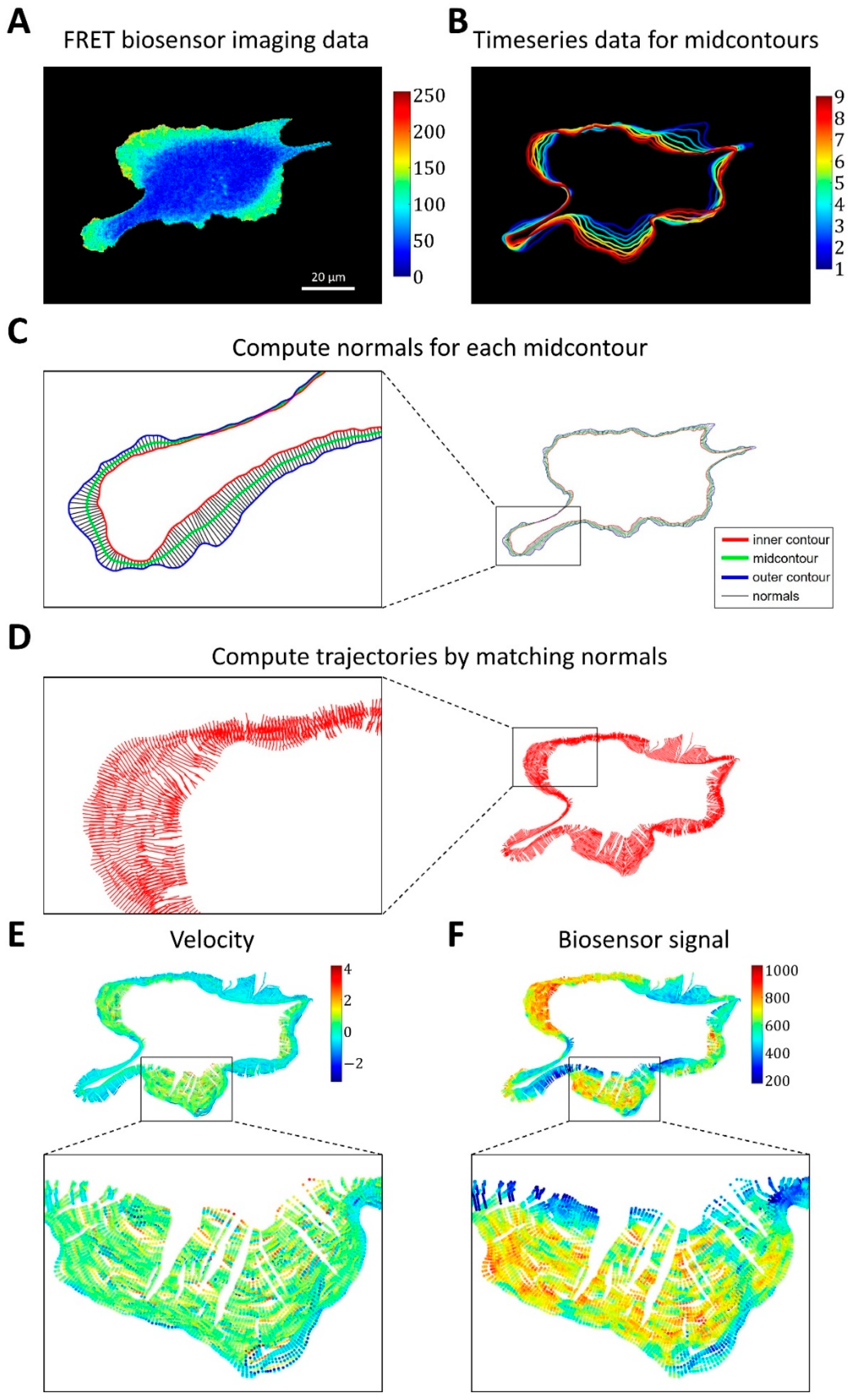 Cells 12 01638 g003 Cells 12 01638 g003