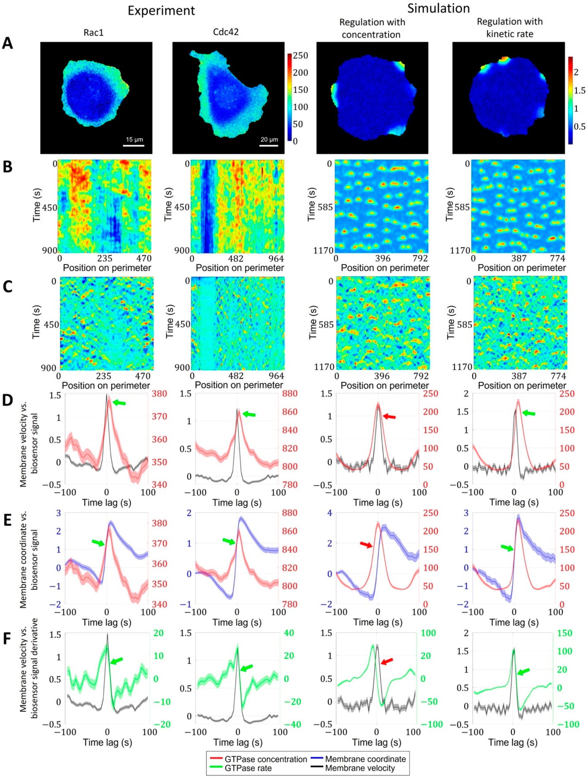 Cells 12 01638 g005 Cells 12 01638 g005
