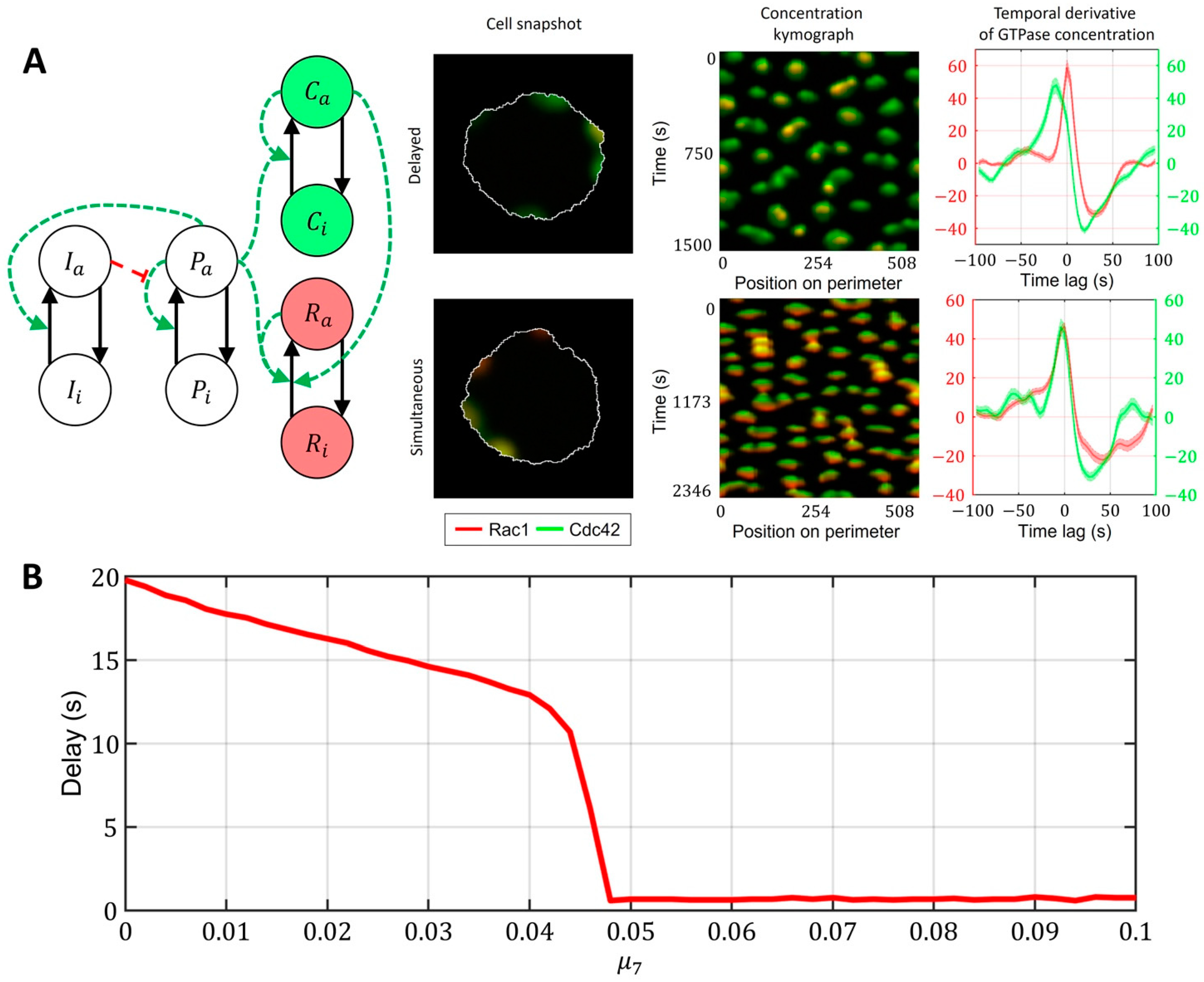 Cells 12 01638 g008 Cells 12 01638 g008