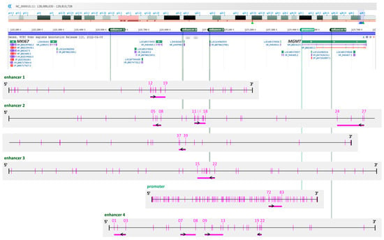 Cells | Free Full-Text | Association between MGMT Enhancer Methylation ...