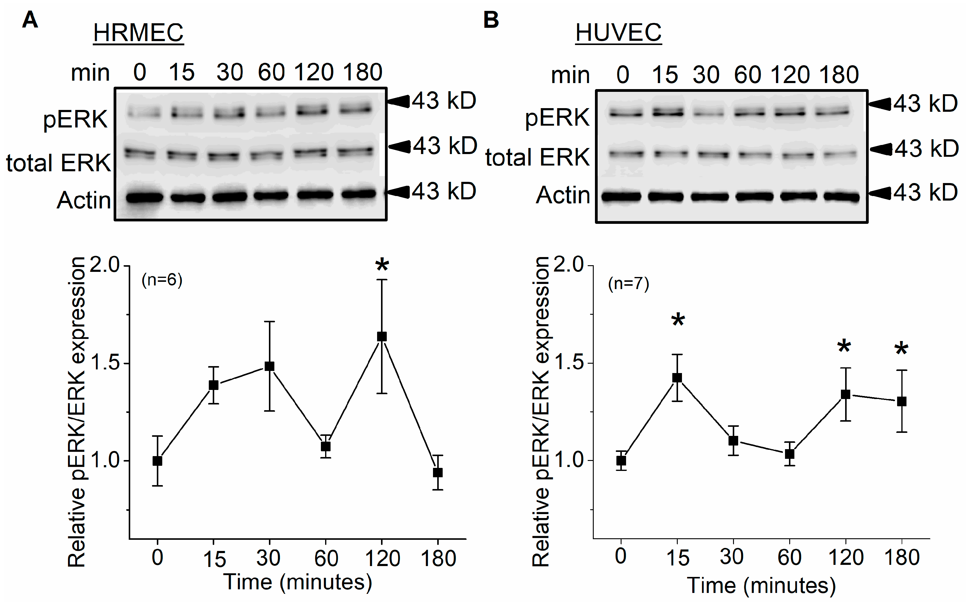 Cells 12 01651 g002 Cells 12 01651 g002