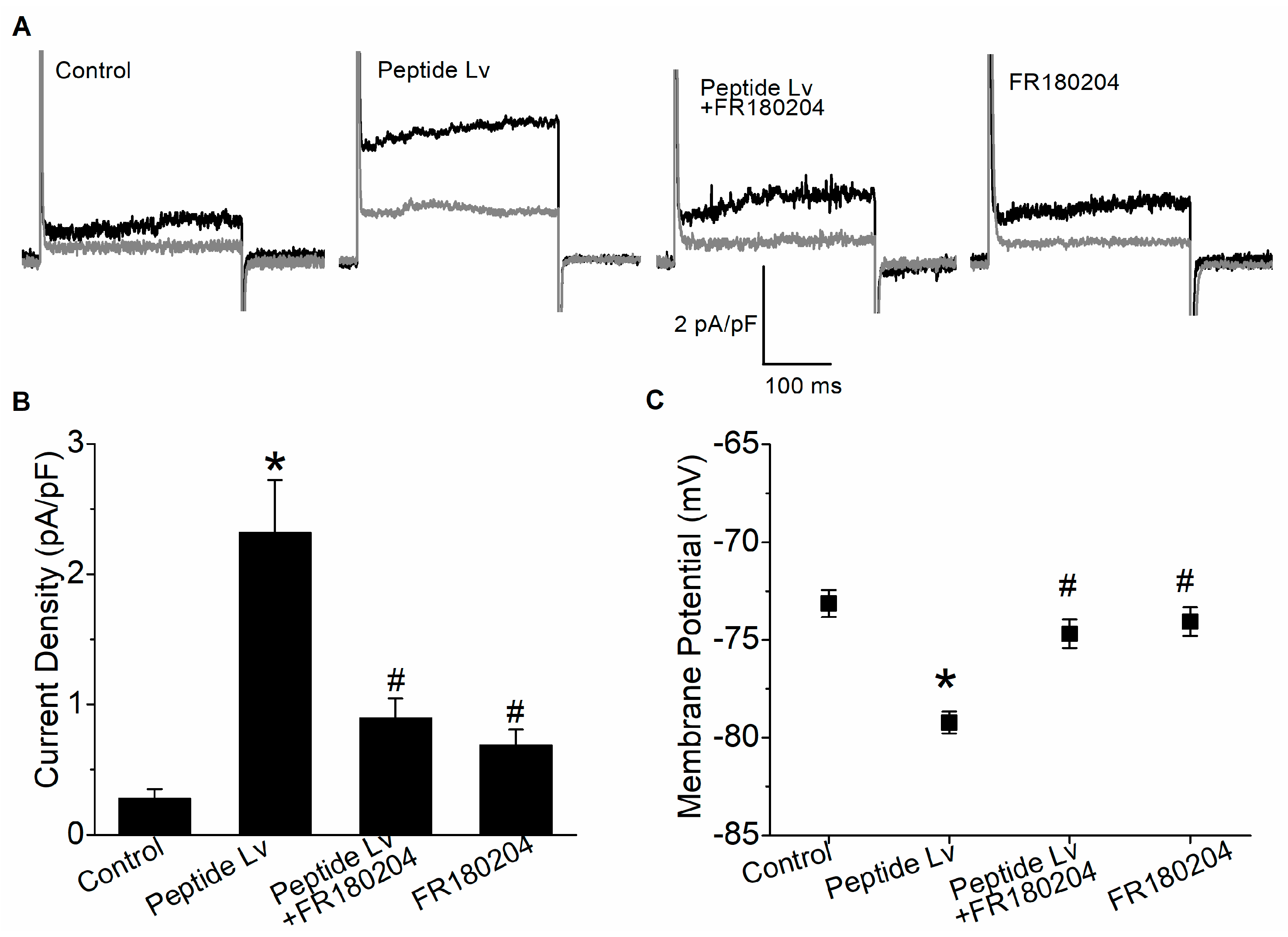 Cells 12 01651 g003 Cells 12 01651 g003
