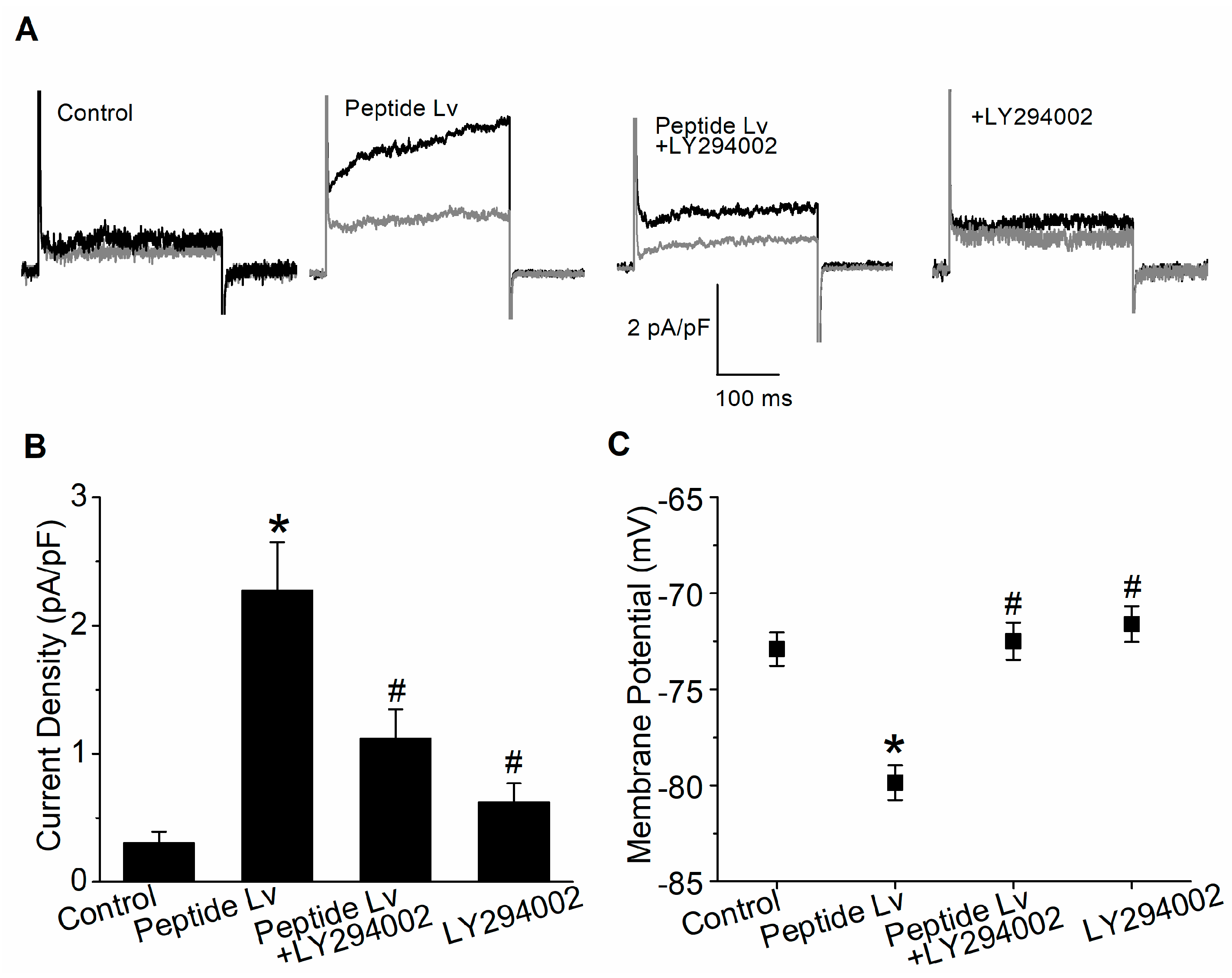 Cells 12 01651 g006 Cells 12 01651 g006