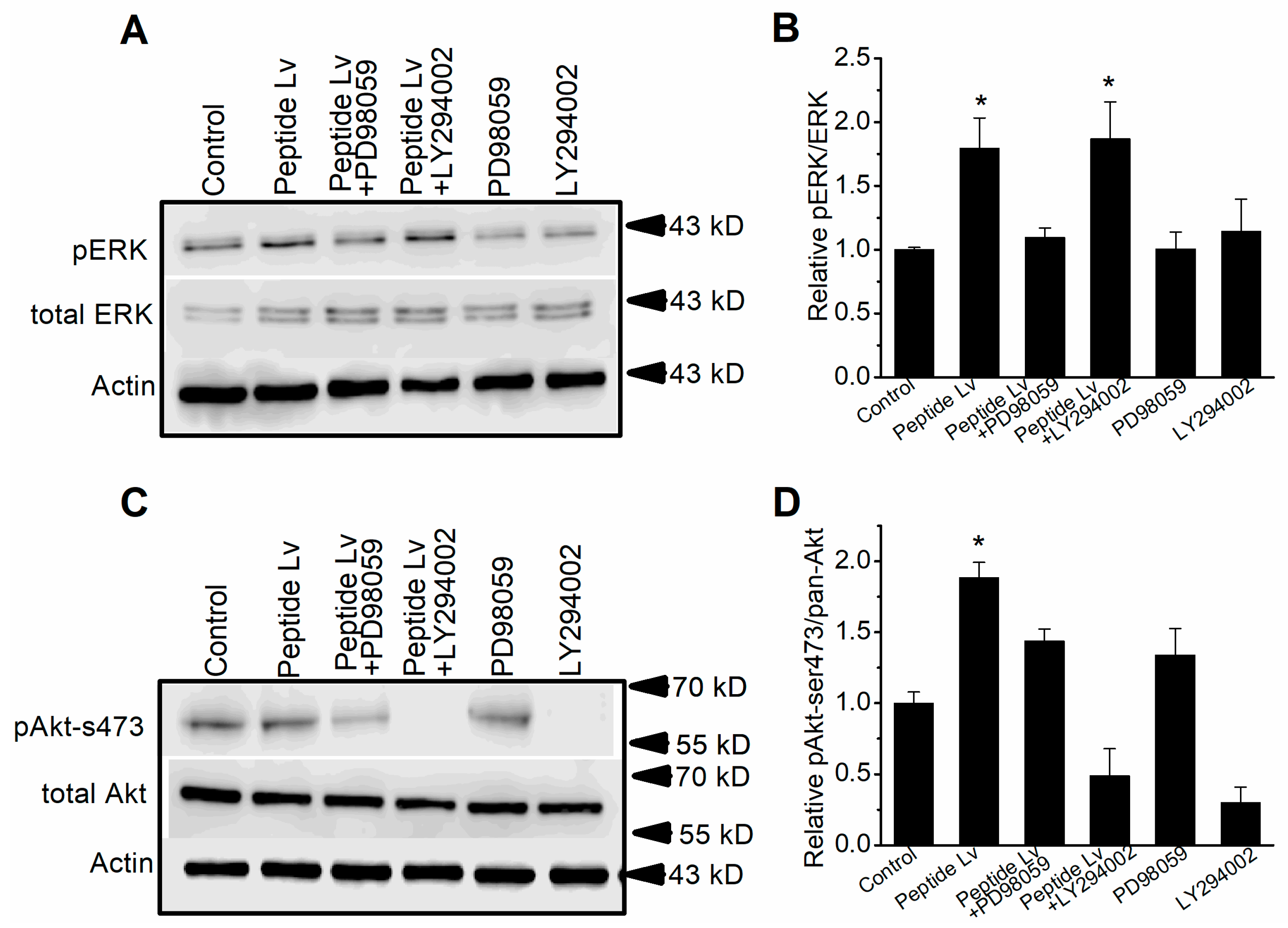 Cells 12 01651 g008 Cells 12 01651 g008