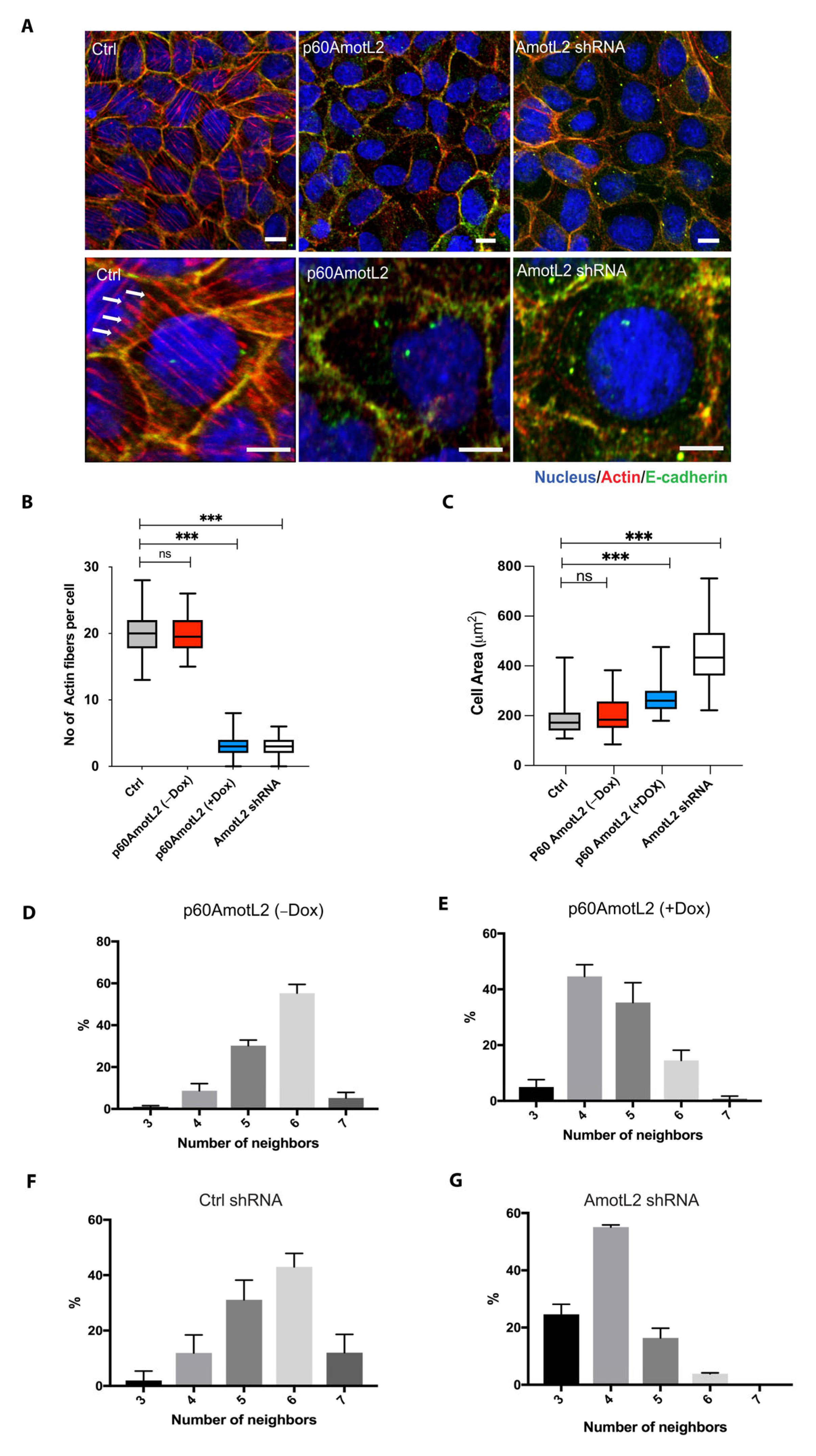 Cells 12 01682 g002 Cells 12 01682 g002