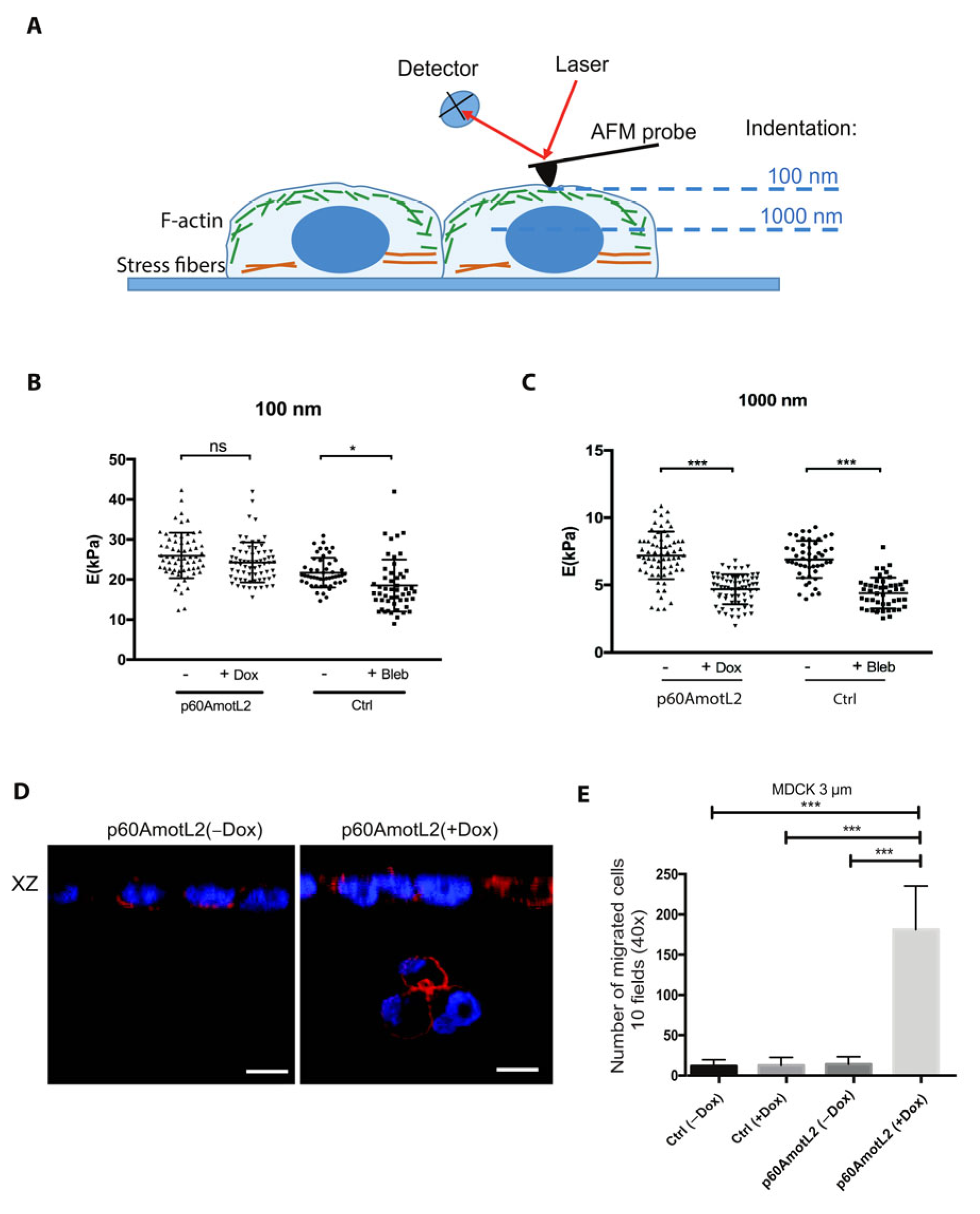Cells 12 01682 g009 Cells 12 01682 g009
